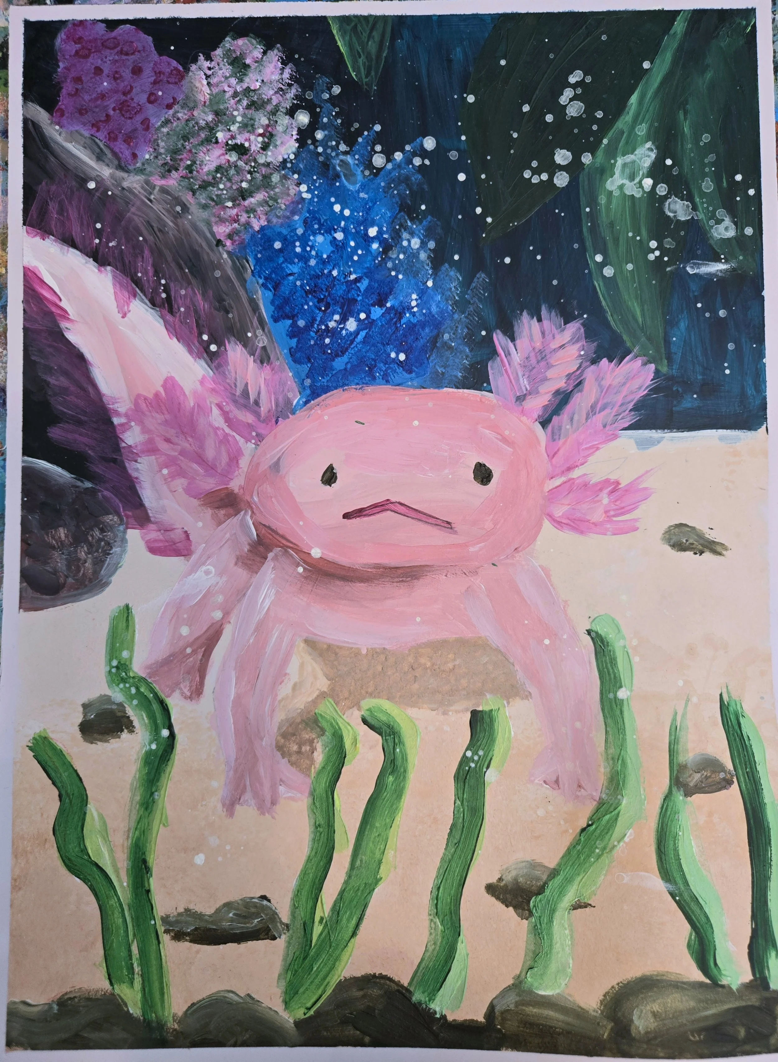 Mexican Axoloti