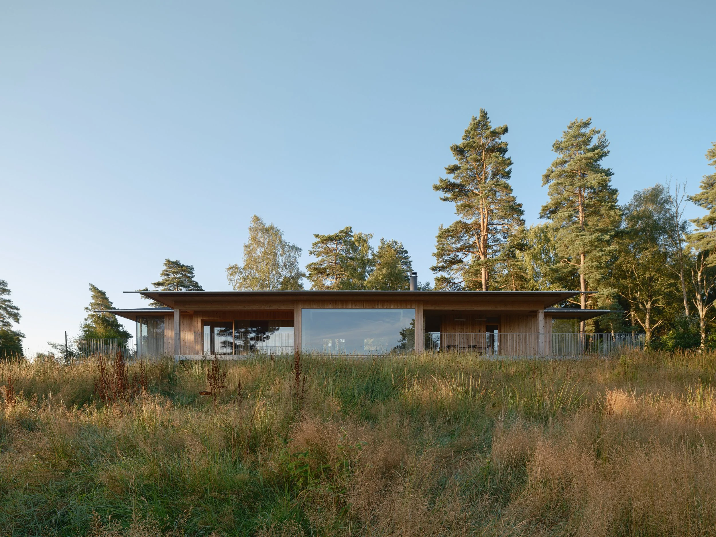 Pine House by Johan Sundberg Arkitektur settles into Hallandsåsen woodland