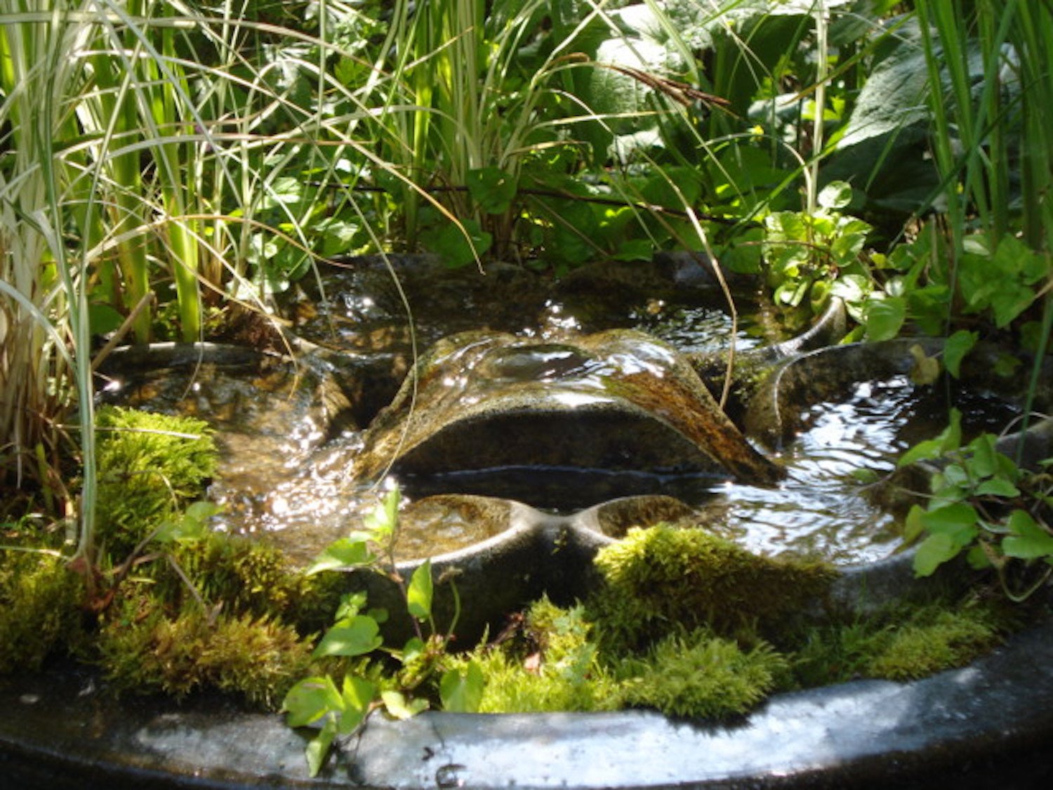 Cornelia Flowform ecologically integrated !.JPG