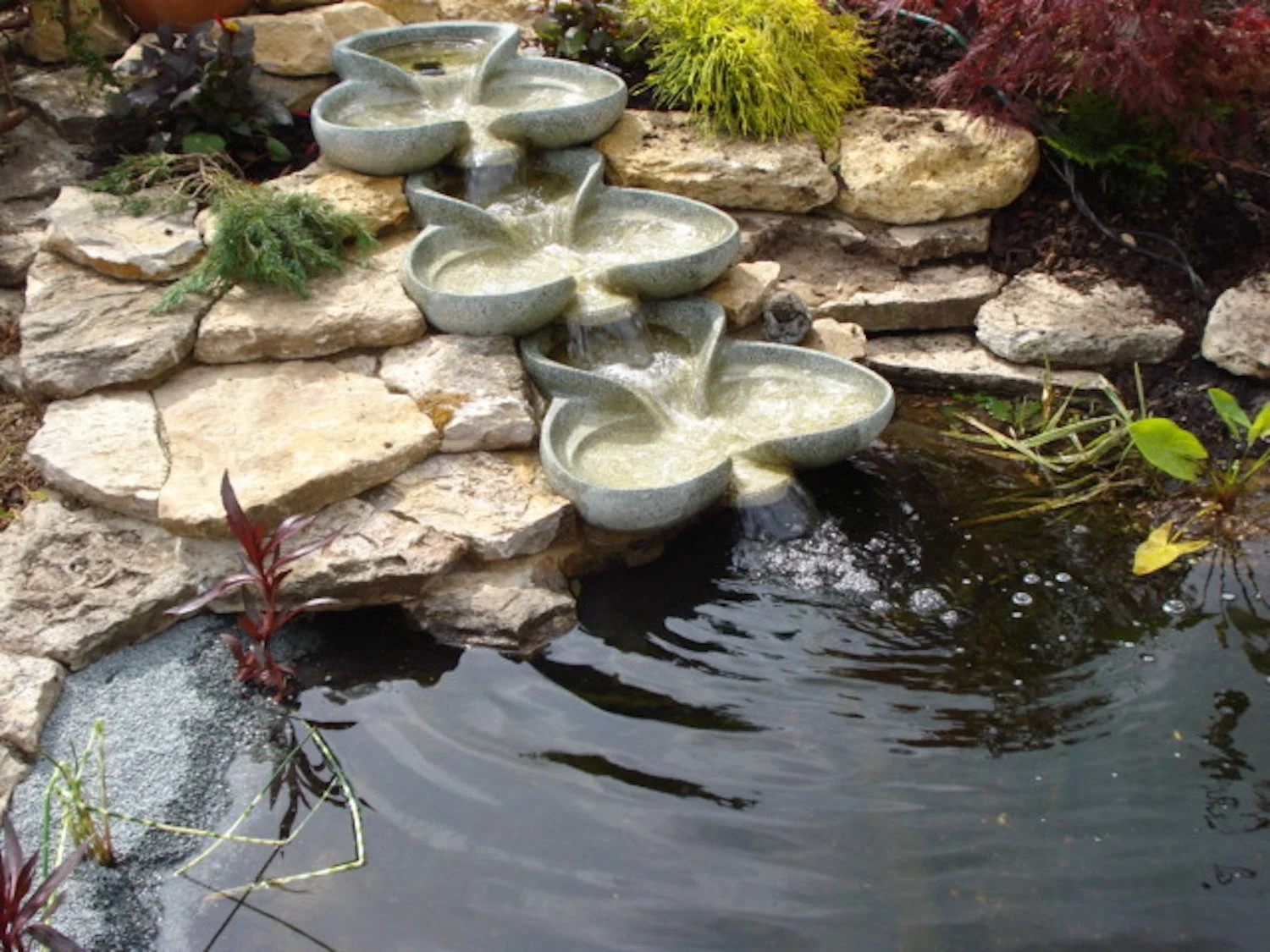 Large Helenas 113.JPG