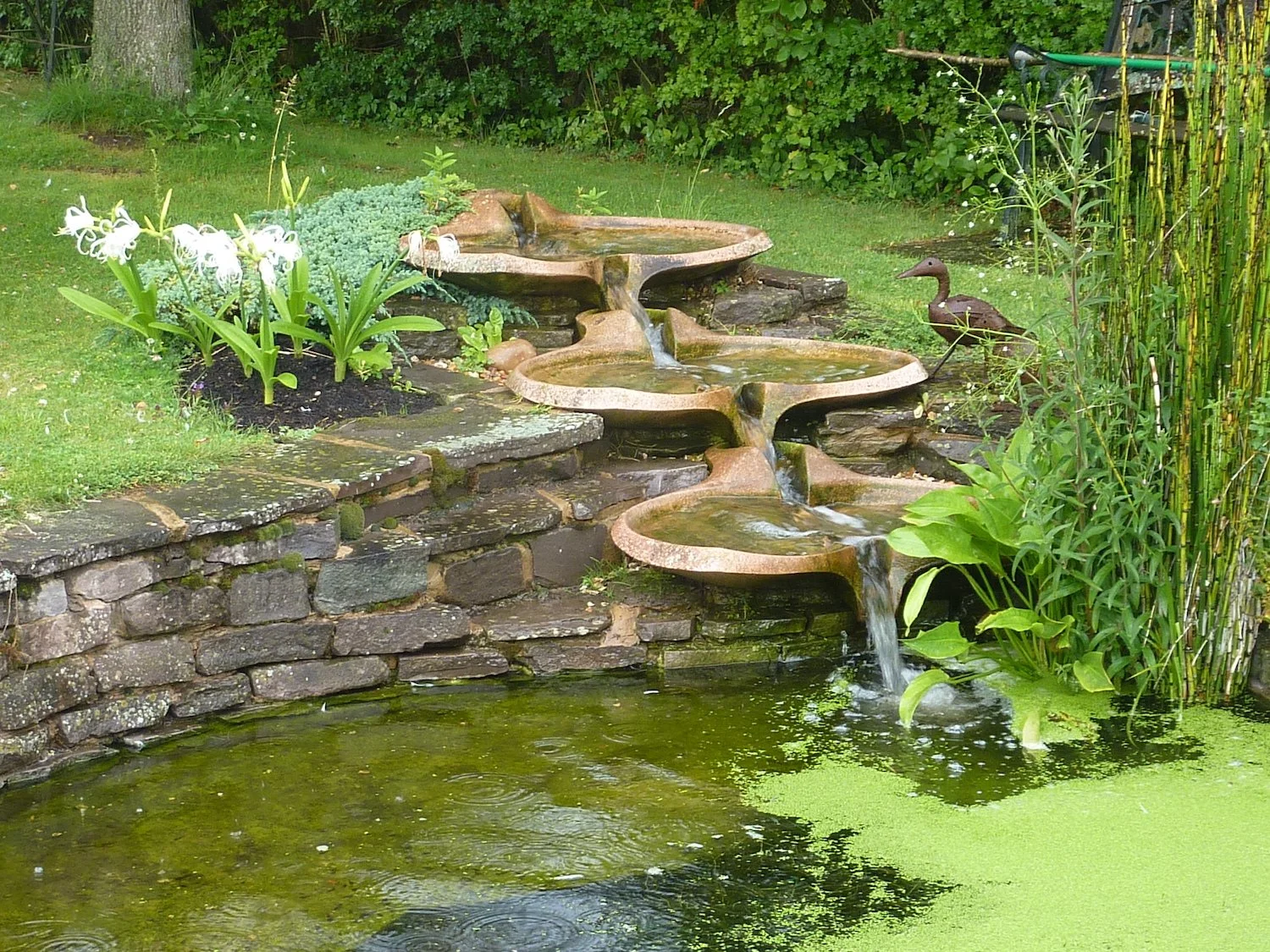 Flowforms attract  wildlife !.JPG