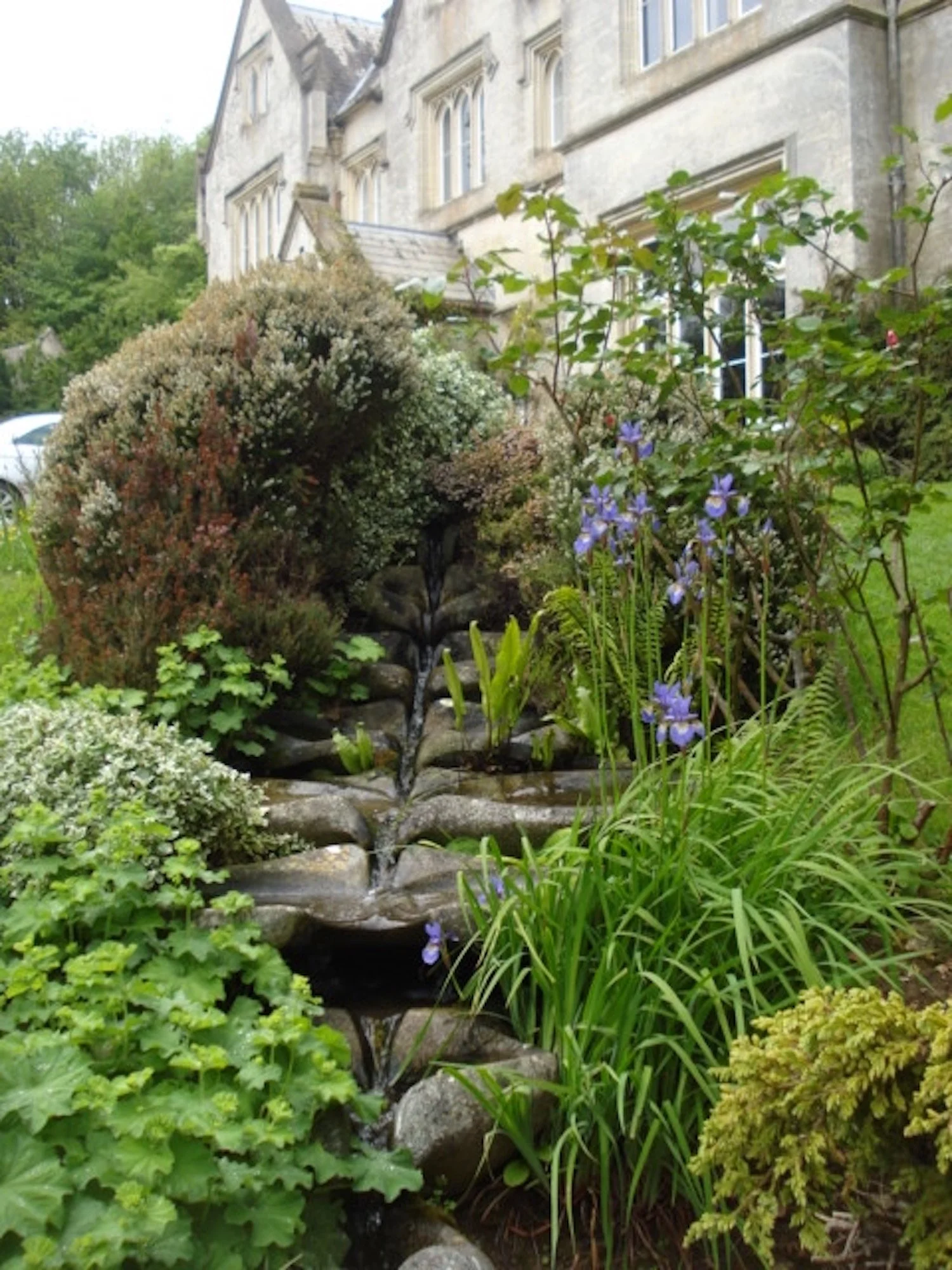 Sevenfold hidden at Hawkwood.JPG