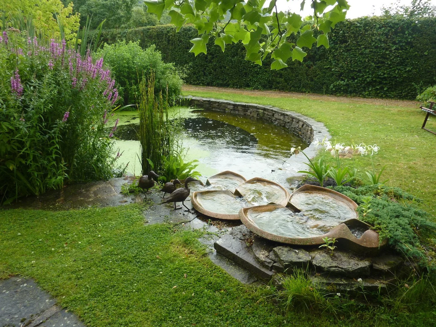 Emerson in sewage system .JPG