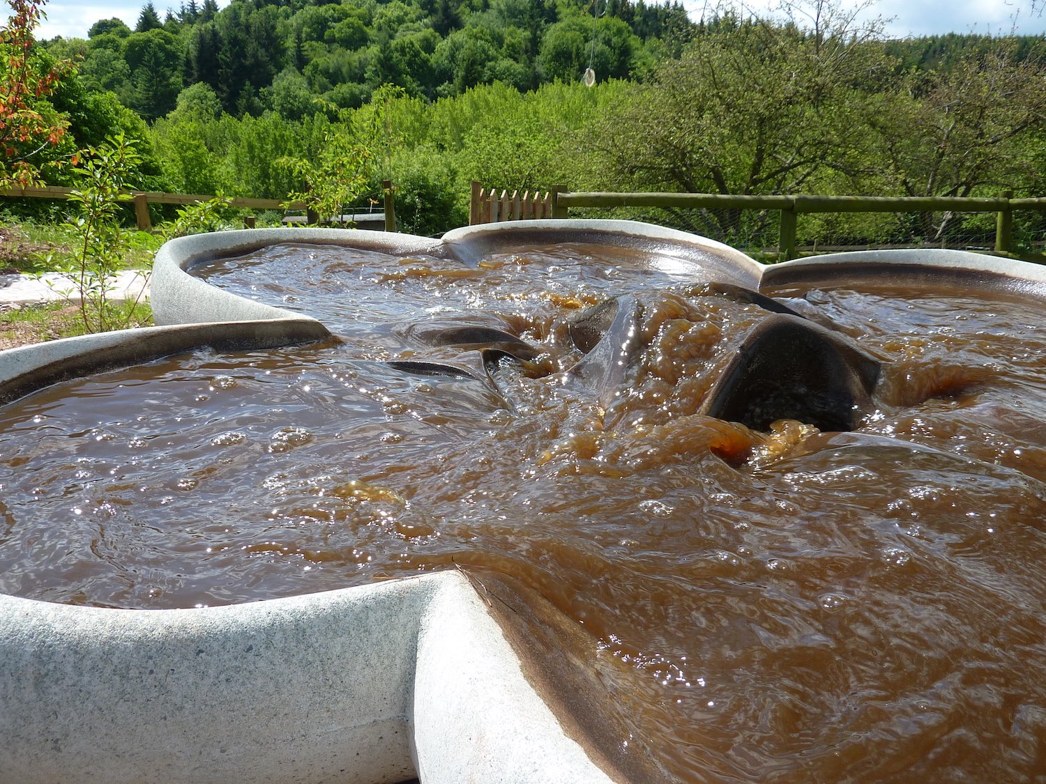 Shamrock treating liquid manure.JPG