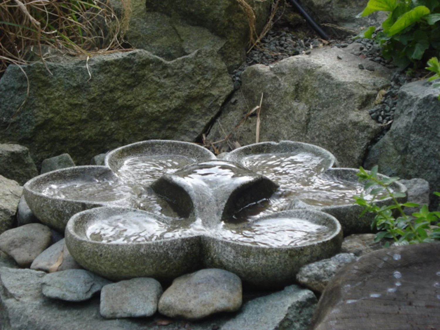 Cornelia materially integrated.JPG