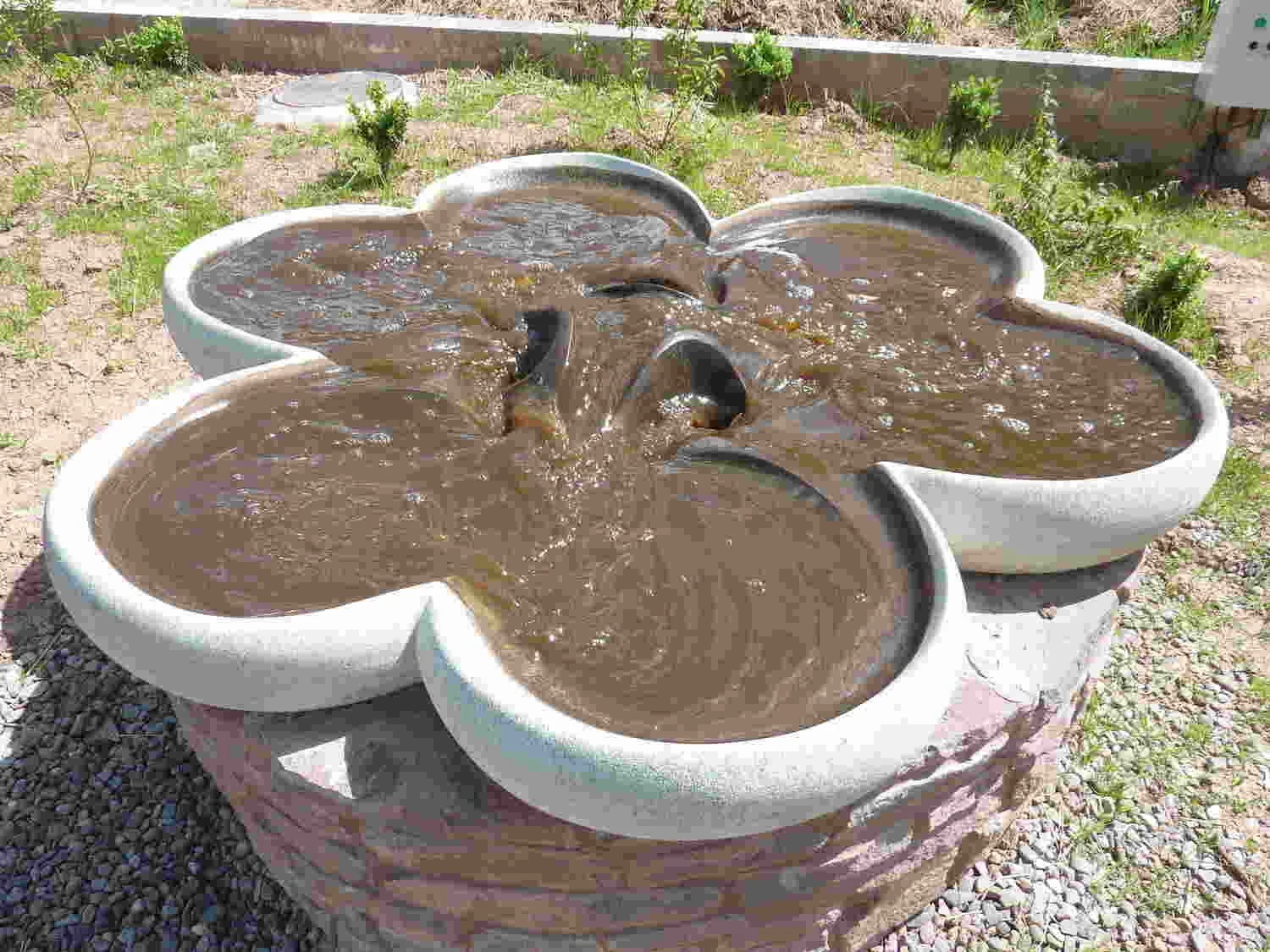 Shamrock Flowform.JPG