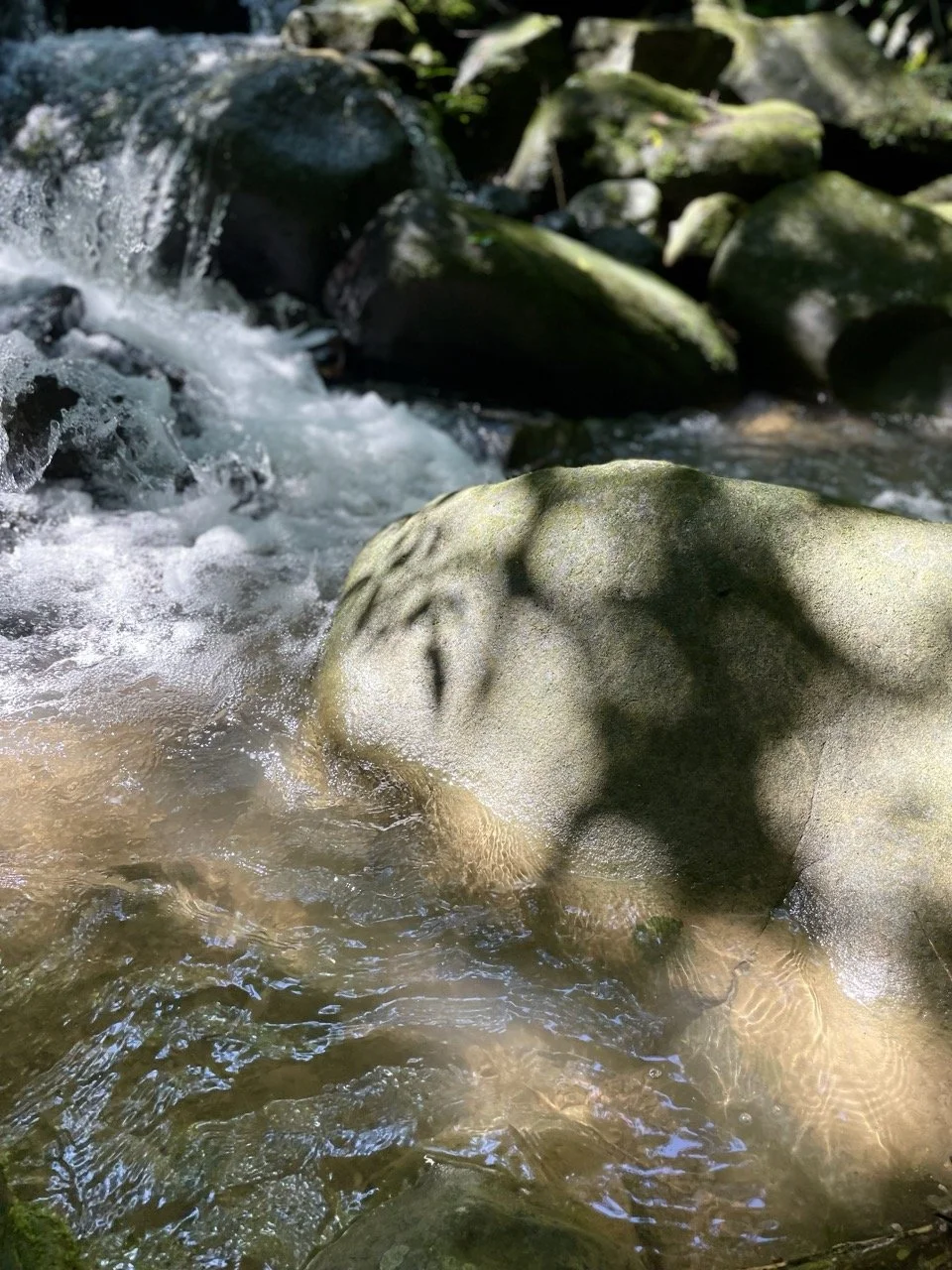 Sunlight filters over smooth moss-covered rocks as clear water flows through a shallow forest stream, capturing the quiet beauty of natural textures, movement, and light in an intimate outdoor landscape.