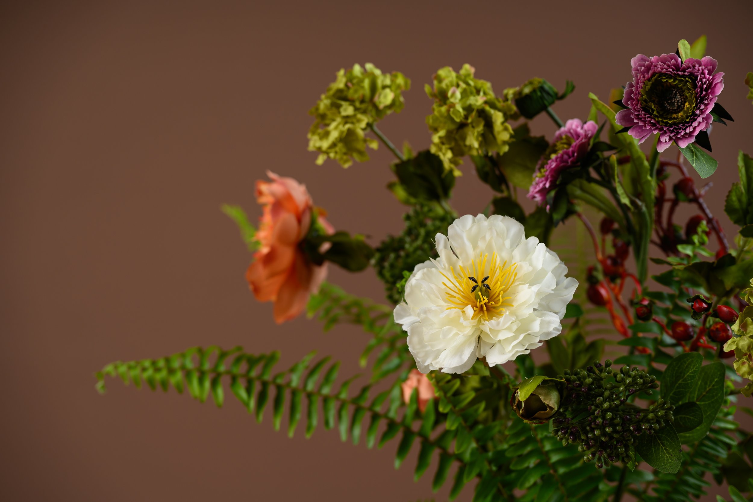 DRF_3597_fullres.jpg