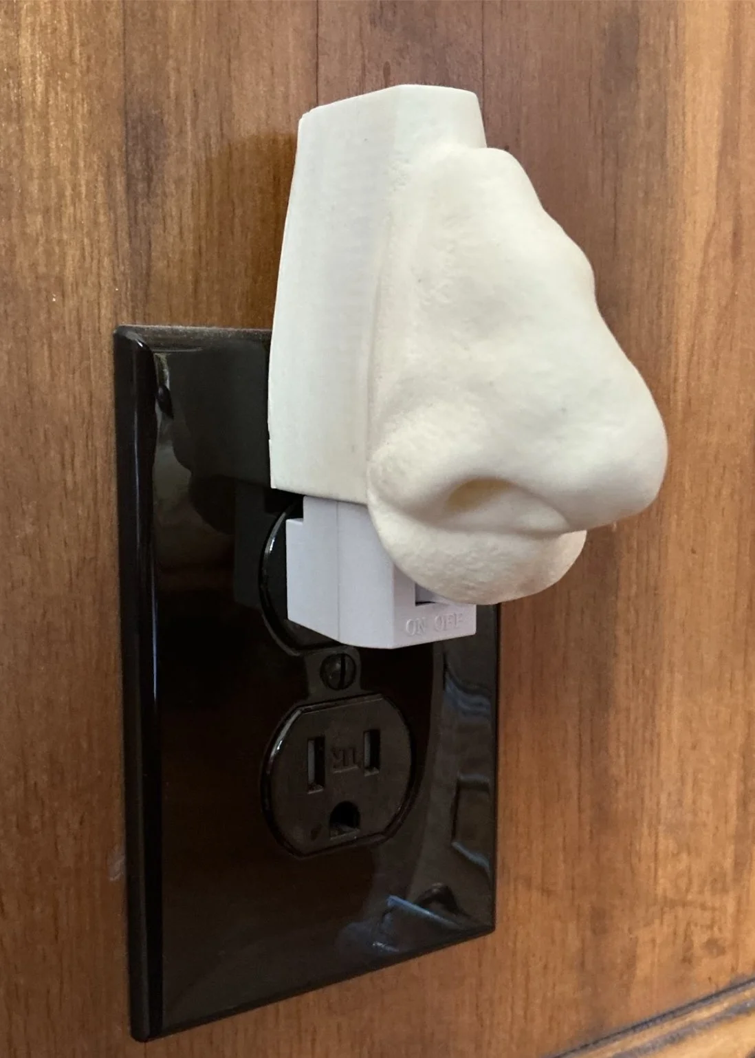 David Snyder, Nose Light  1.jpg