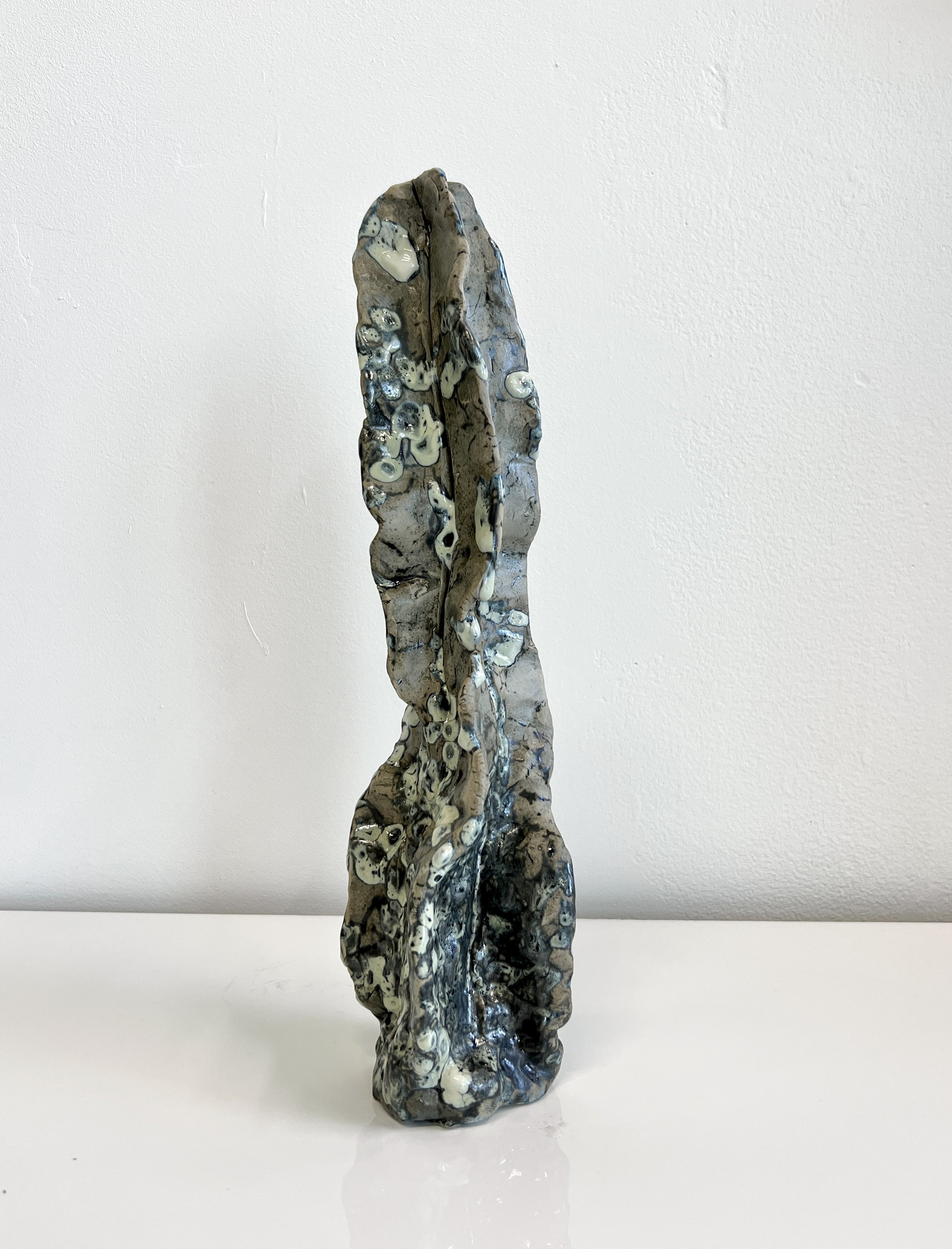 Cactus glaze test, Coral Saucedo Lomeli