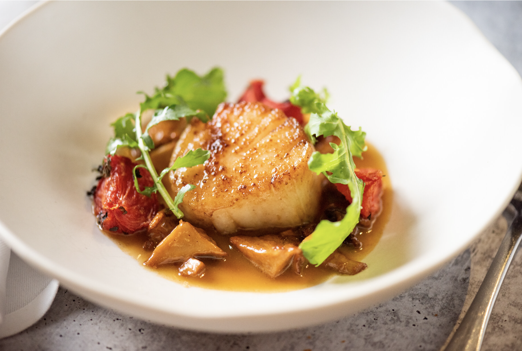 Seared scallop with tomato, greens, and sauce on a white plate.