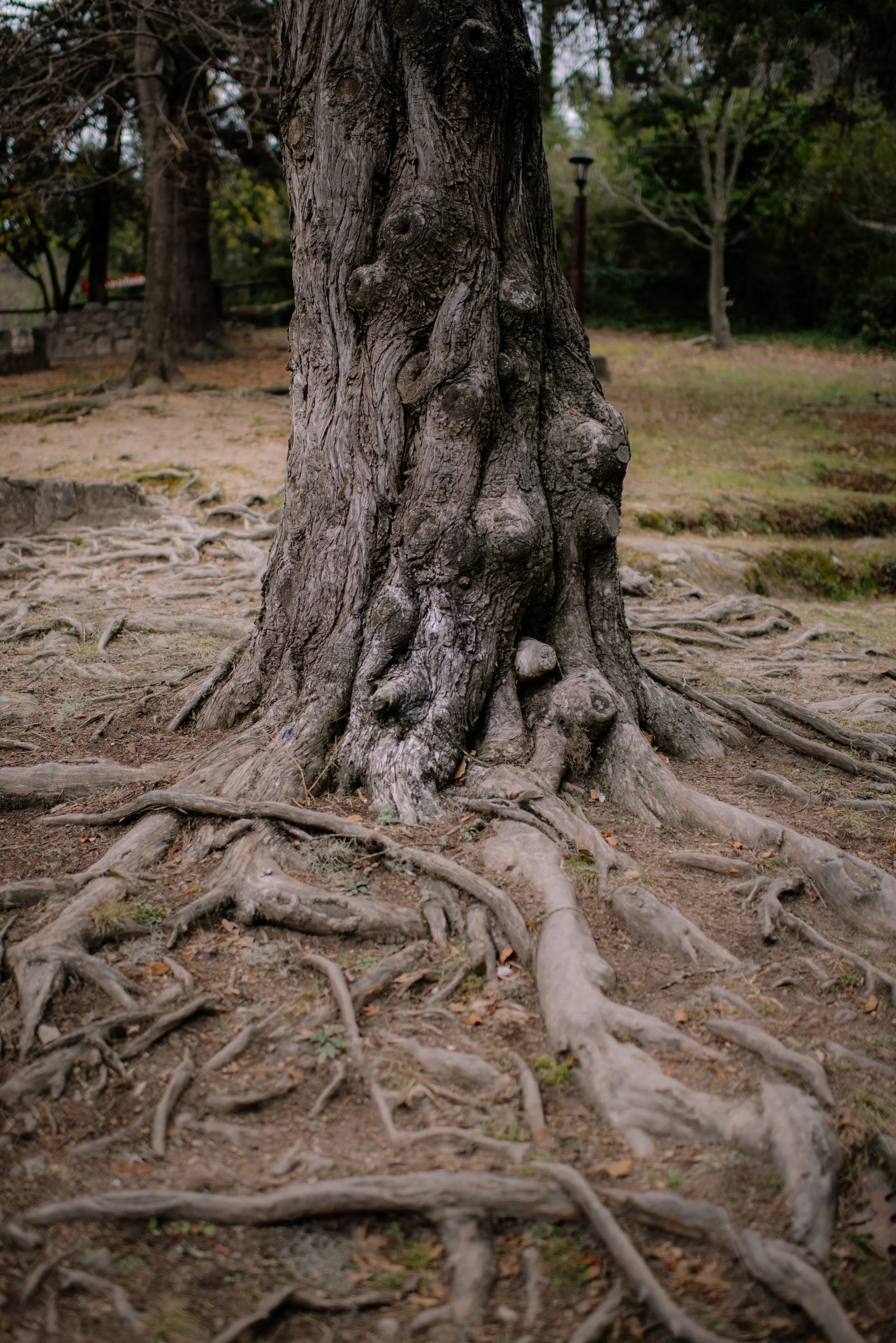 DSC_5327.jpg