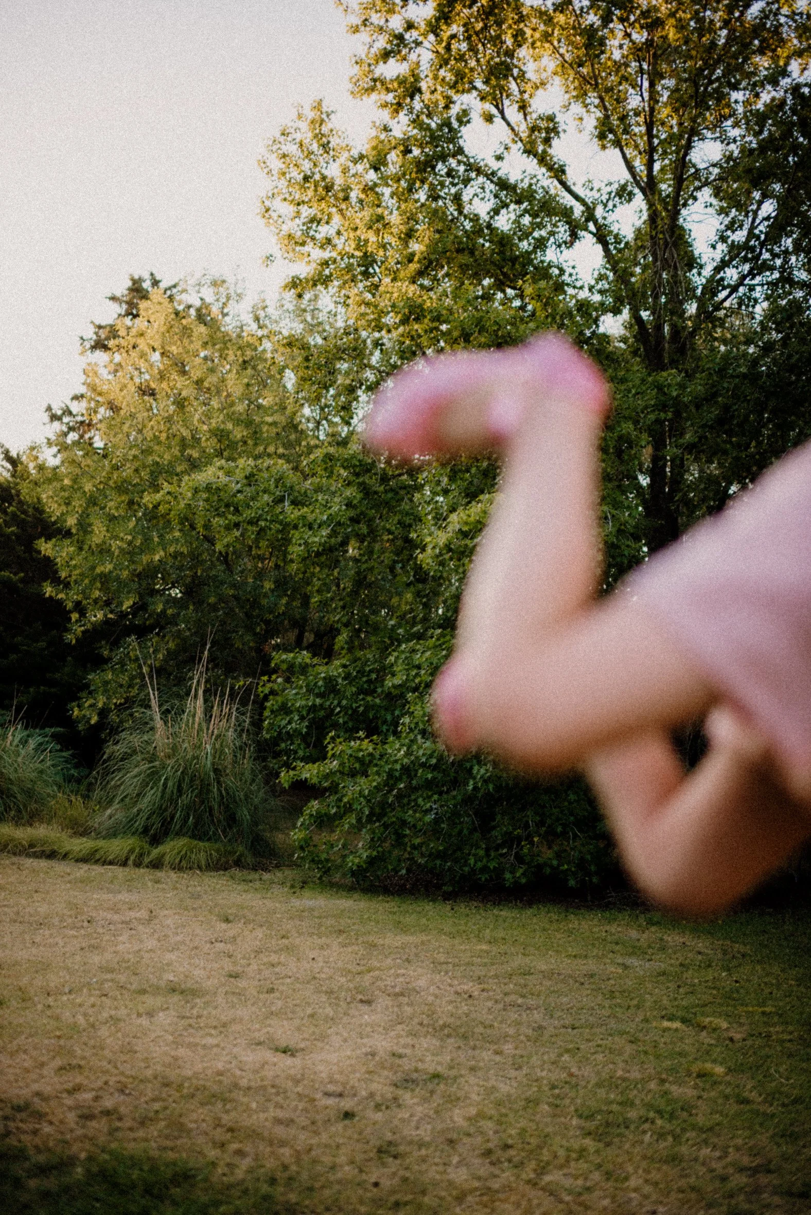 DSC_5768.jpg