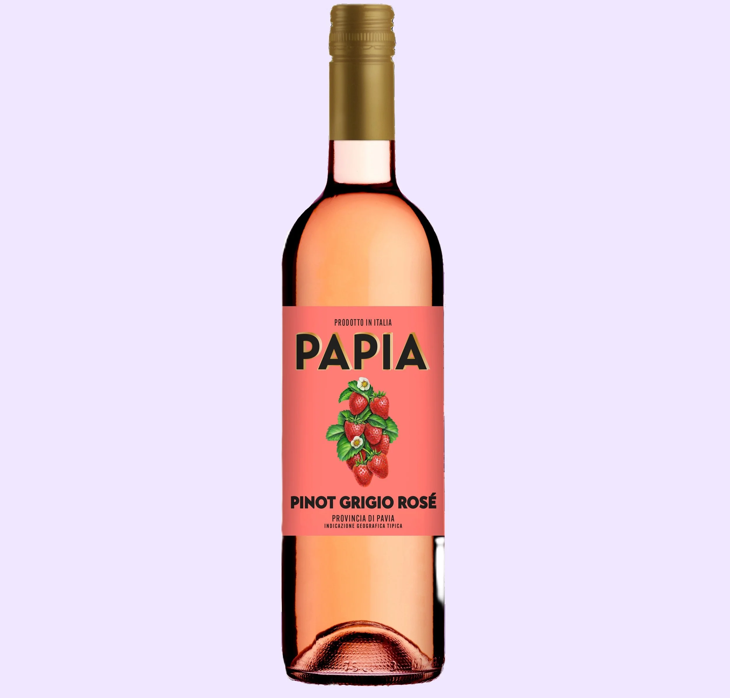 Papia Rose.jpg