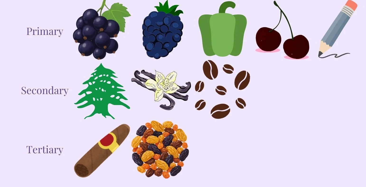 Cabernet Sauvignon Characteristics.jpg