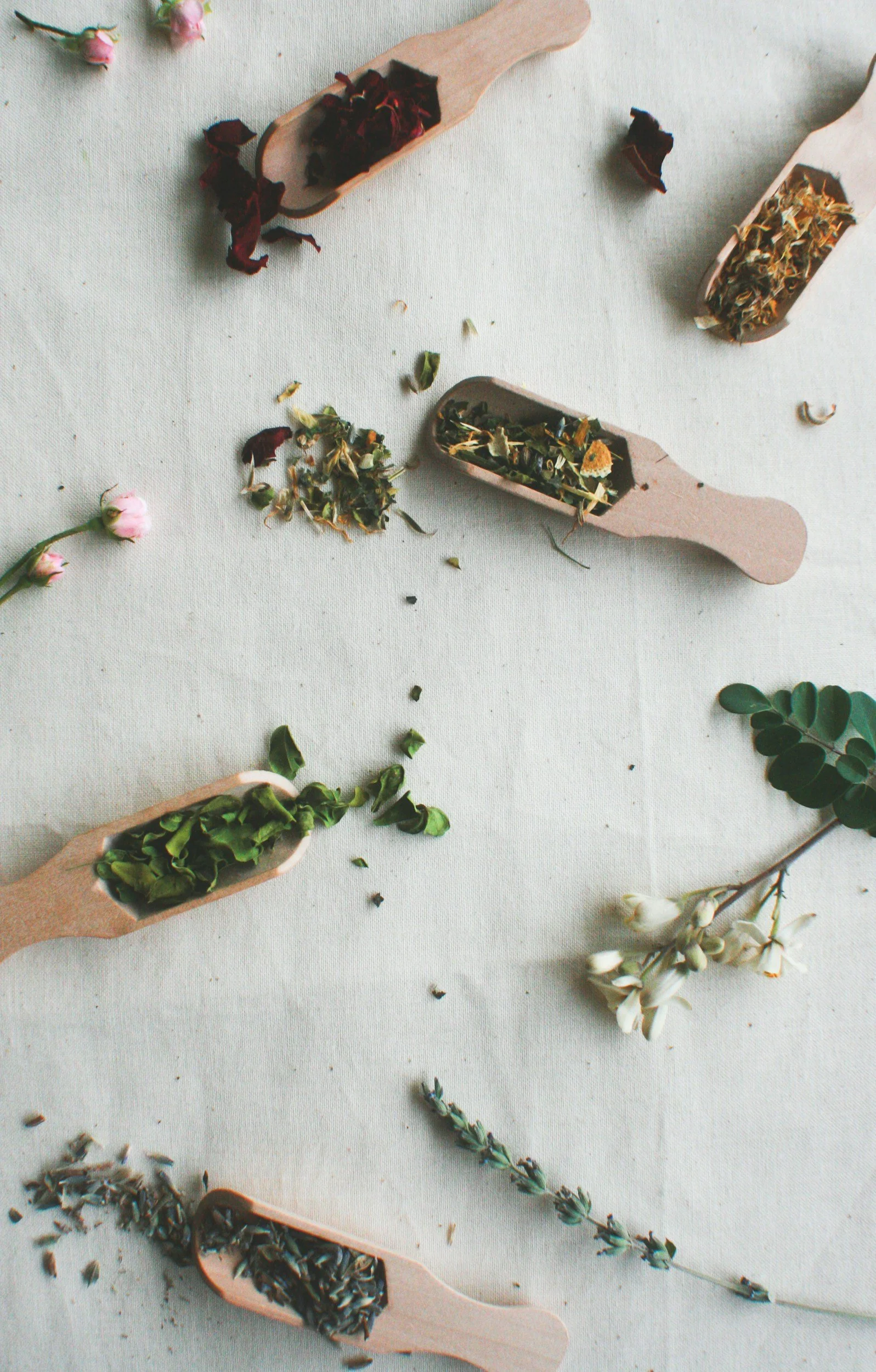 Wooden scoops filled with various dried herbs and flowers, scattered on a light-colored surface, with some loose herbs and flowers around them.