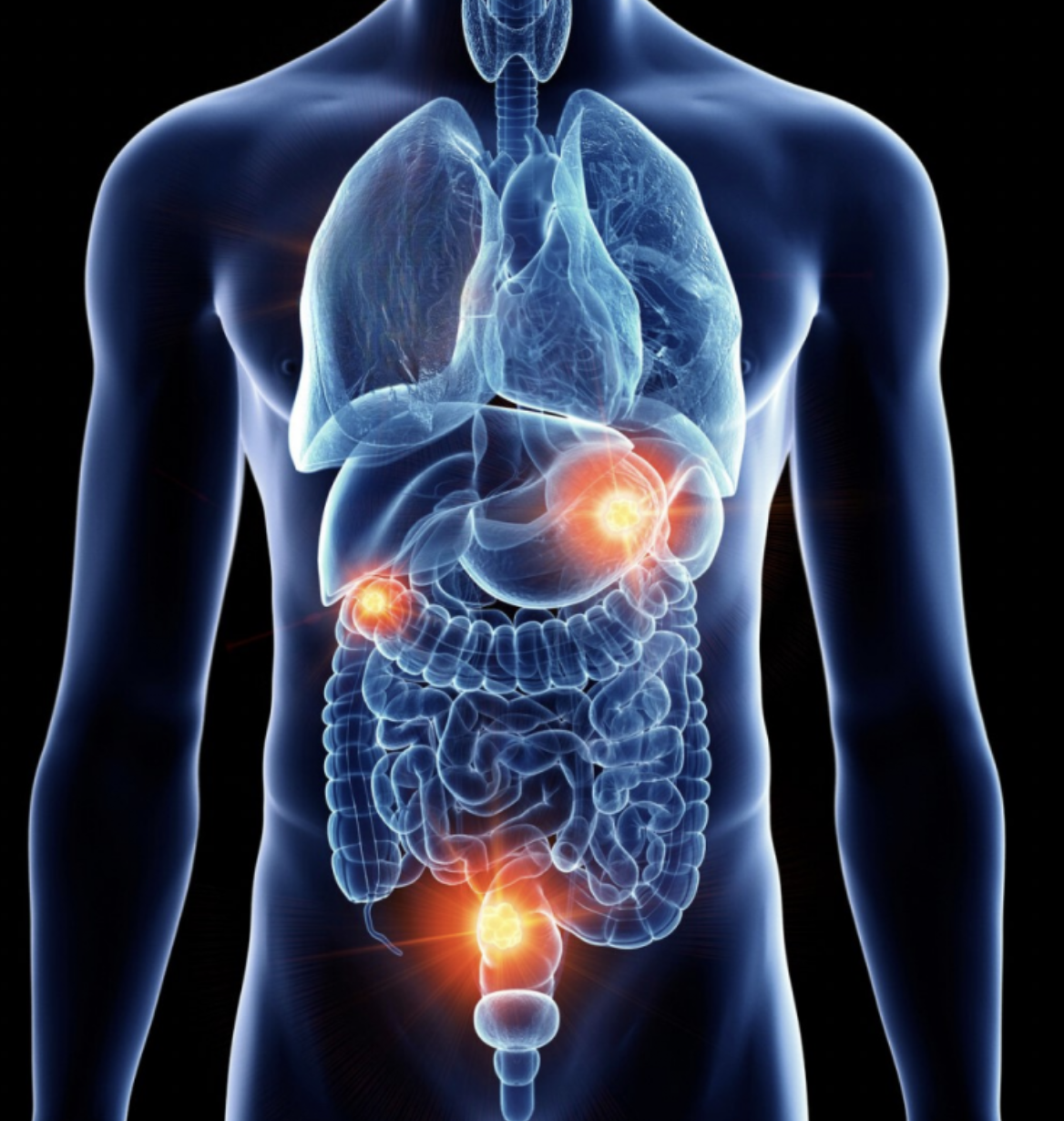 Captura de pantalla 2025-10-17 a la(s) 5.57.43 p. m..png