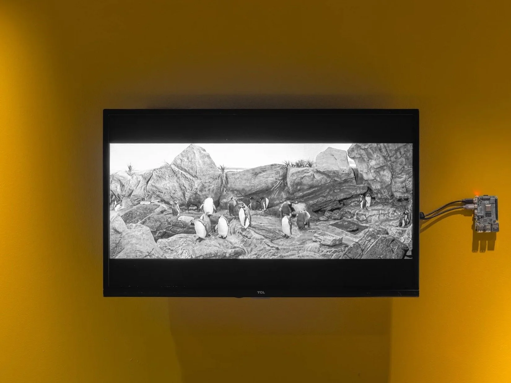 Prix Carré sur seine_27-03-2024_.Kit jpeg low-28.jpg