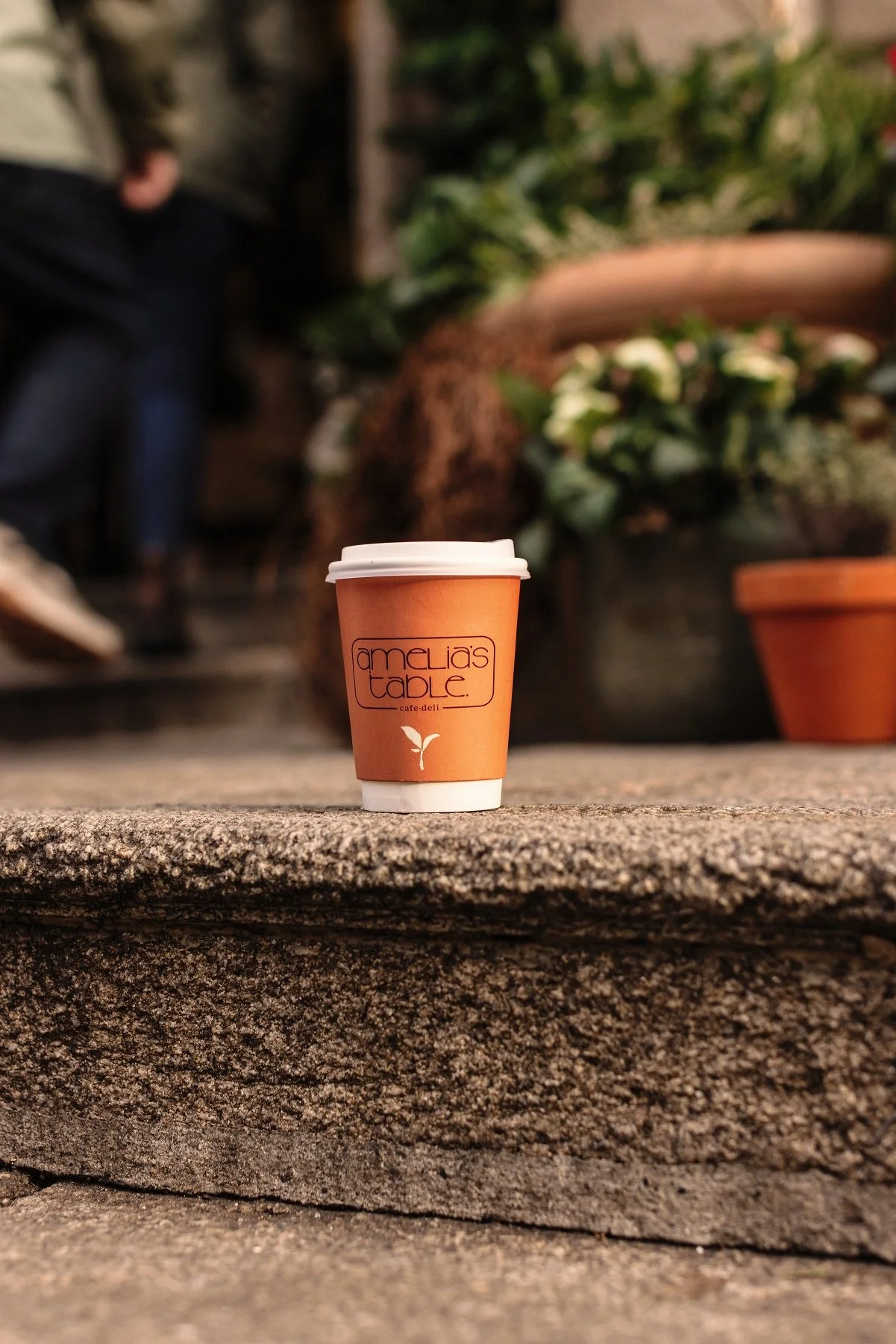 IMG_1561LowRes (1).jpg