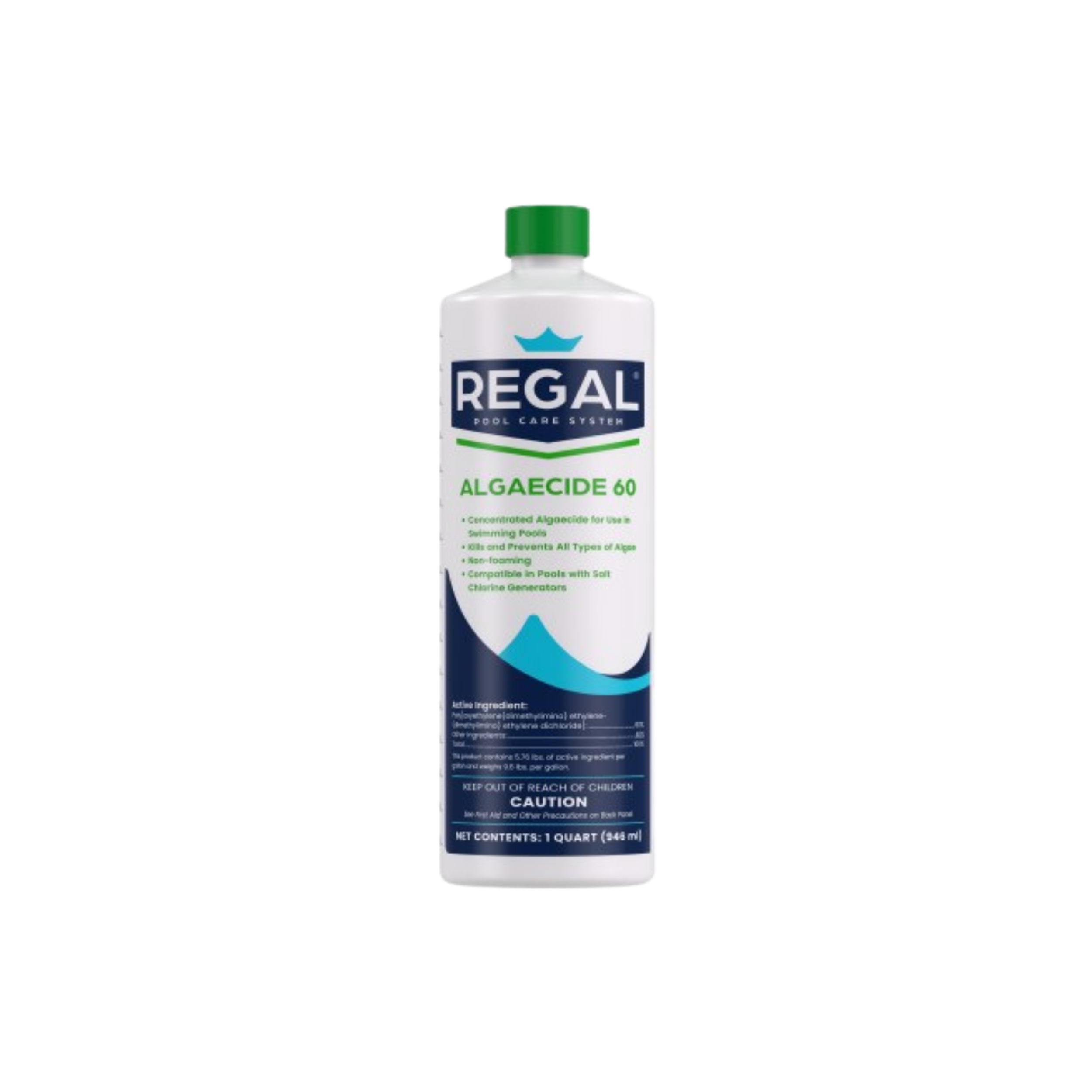 Regal Algaecide 60 Bottle 1qt