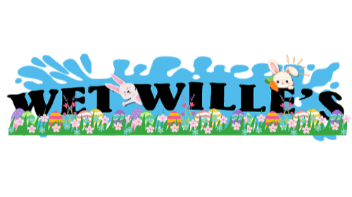 Wet Willes Pool Service