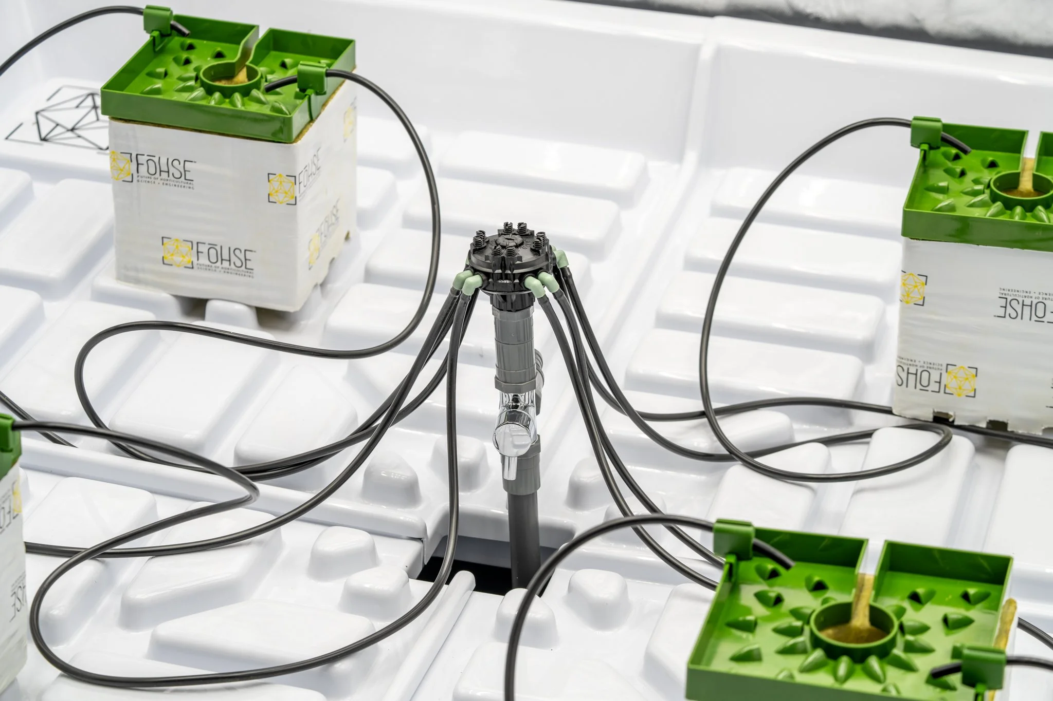 Fohse - Home Grow Tent - 4.22.25 - WEB - 7.jpg