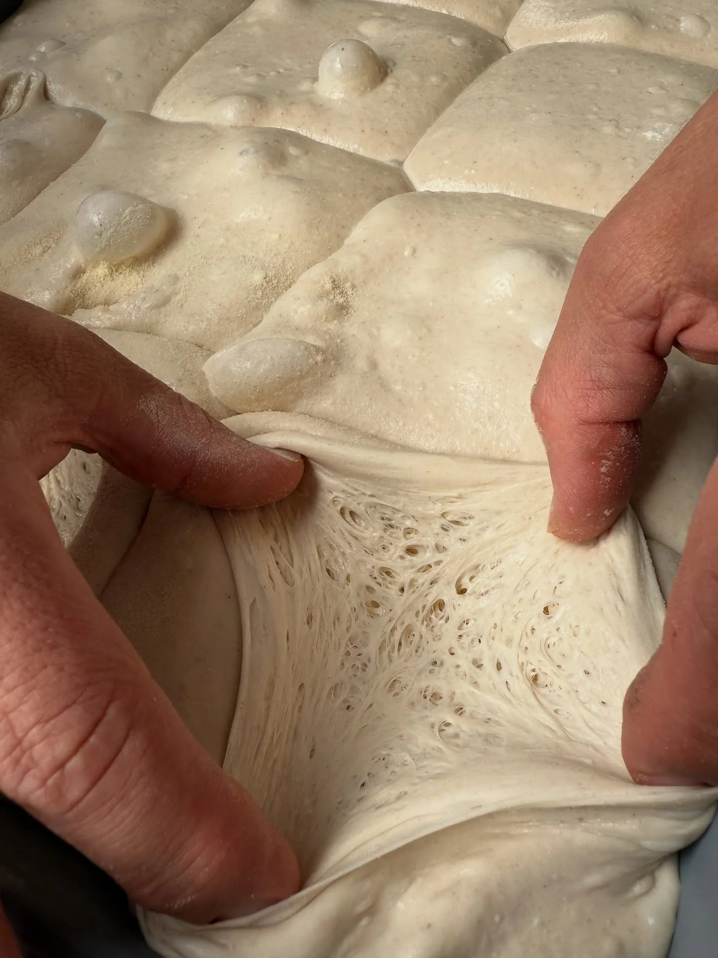 Dough in progress… β³ππ»π
#pizza #pizzalondon #italianpizza #neapolitanpizzalondon #pizzagram #londonfood