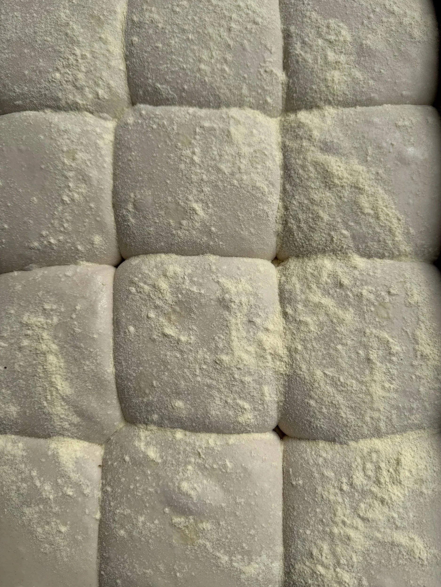 Close-up of Nuovo Gusto dough with flour on top.