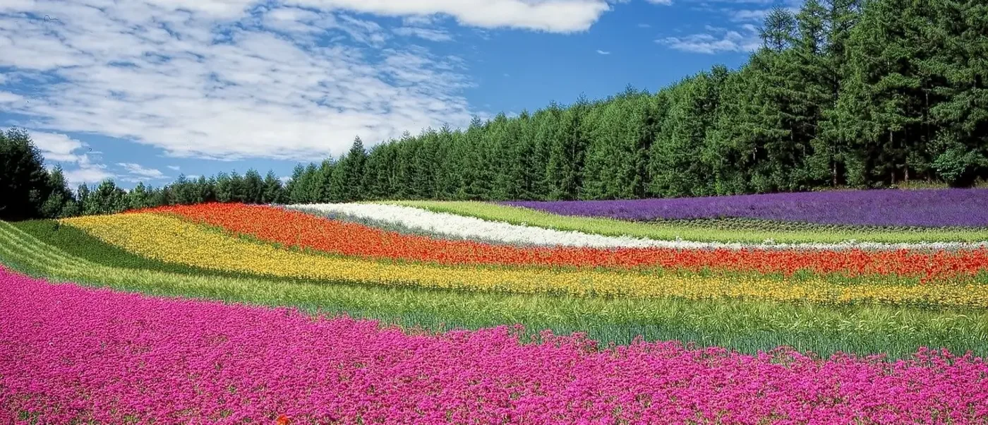 3 Redenen Waarom Mindfulness Tijdens de Werkdag Uw Stress Kan Verminderen