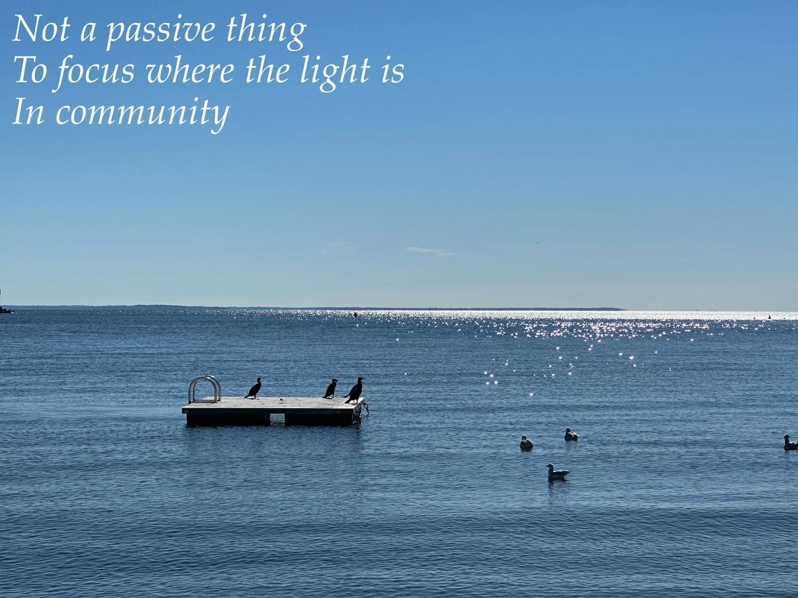 Ocean with a dock floating on water, three birds perched on it, and ducks swimming nearby. Clear blue sky, sunlight reflecting off the water. Quote in the top left corner says "Not a passive thing to focus where the light is in community."