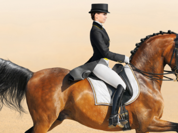 Feeding a Dressage Horse Part II