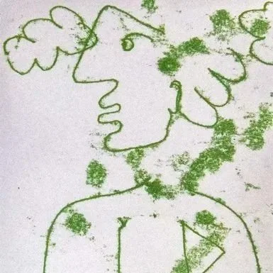 Homage to Picasso's Hands