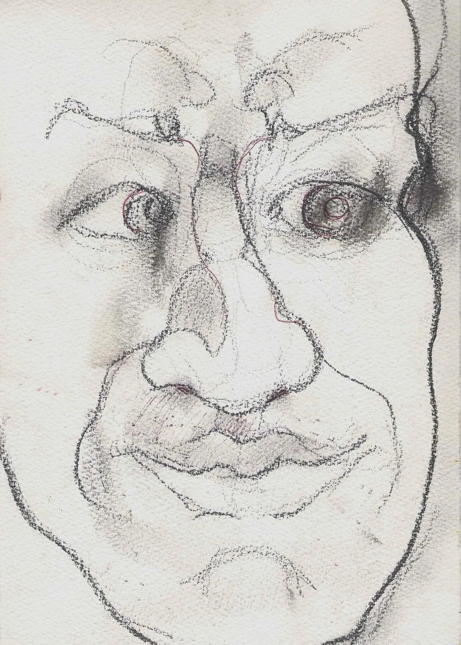 Portrait - Brooks, charcoal on paper, 1999, Gene Tanta