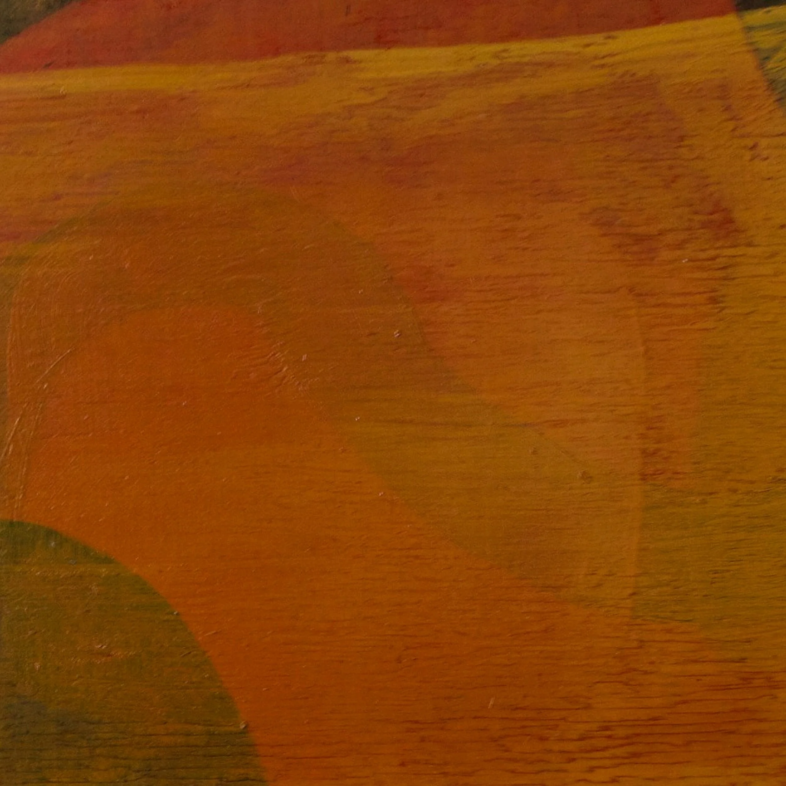 07-red-orange-field-detail.jpg