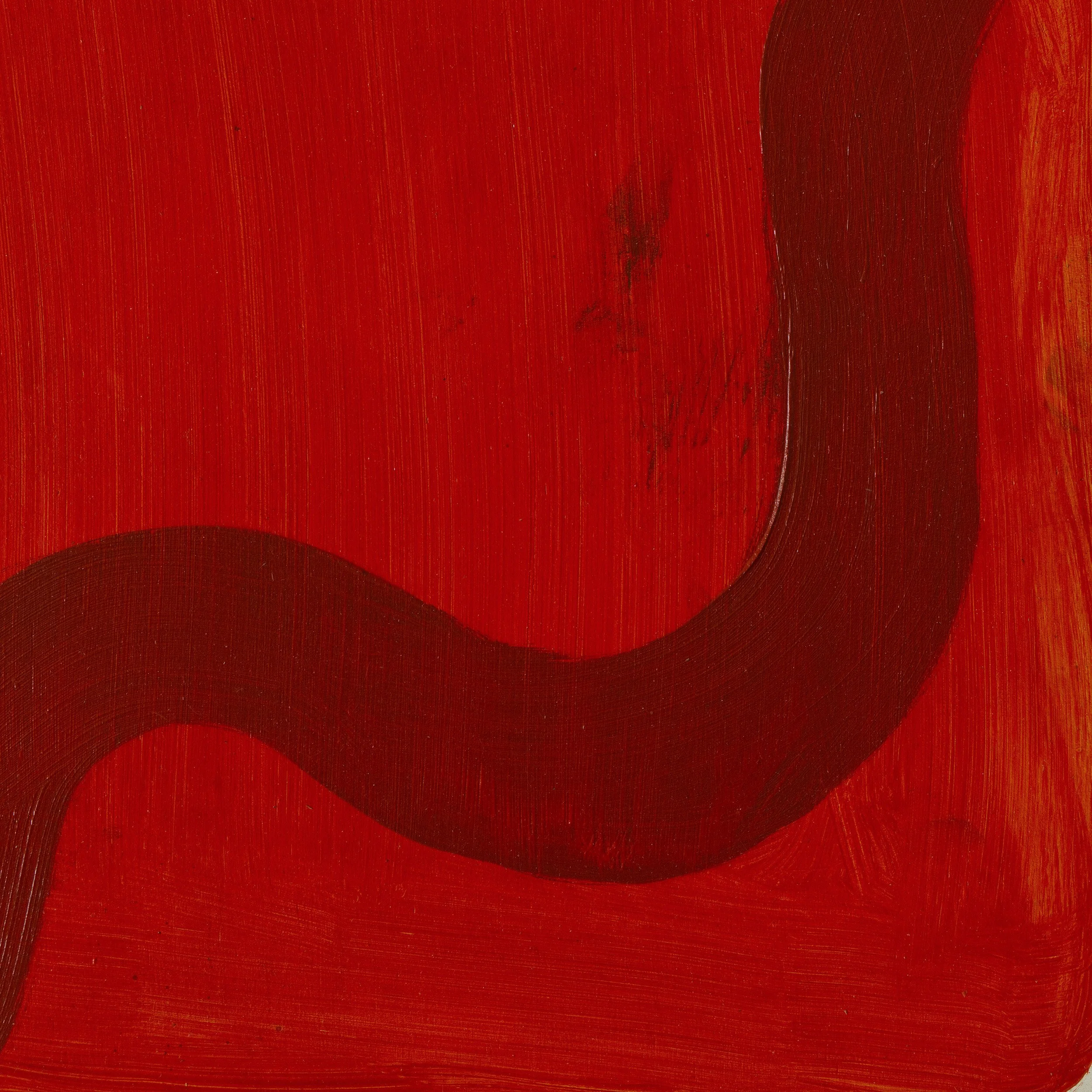 02-red-serpentine-field-detail.jpg