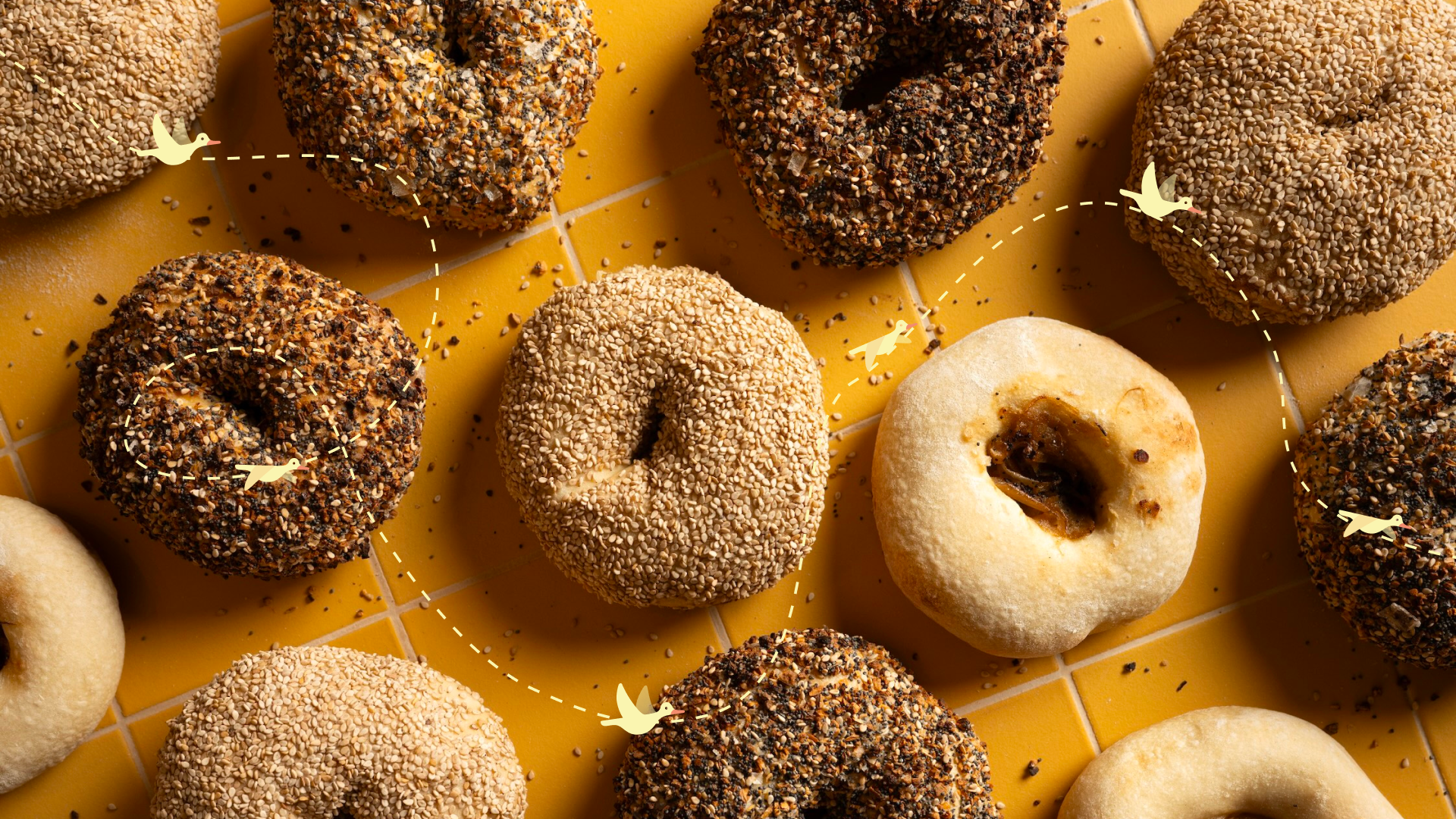 Assorted GERTIE bagels with sesame, poppy, and other seeds on a yellow tiled surface, with small paper bird icons and dotted lines overlayed.