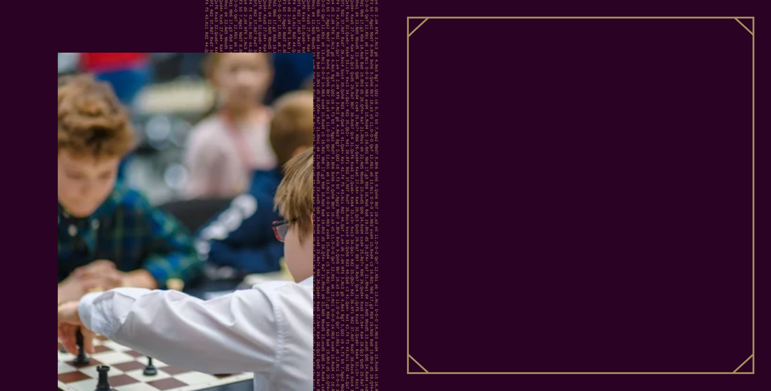 Online Group Classes