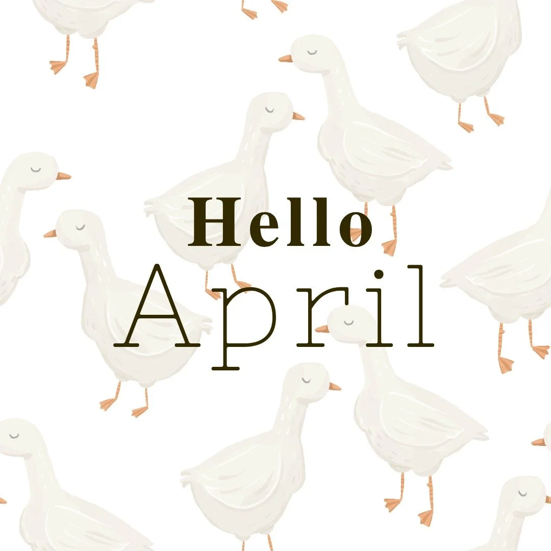 Hello, April ☔️
A new month. A gentle reset.

Not everything has to change overnight.
Not everything needs to be figured out today.

This month, consider:

-Starting slower, not harder
-Listening to what your body has been trying to say
-Letting go o