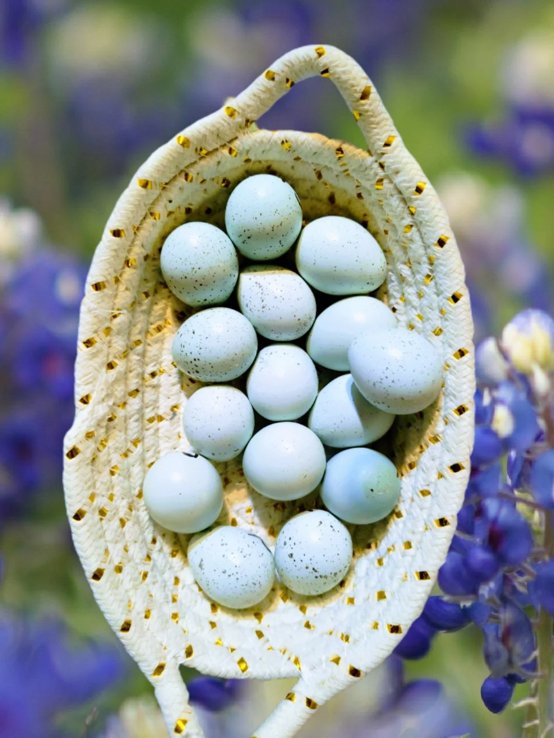 Celadon Coturnix Quail Hatching Eggs