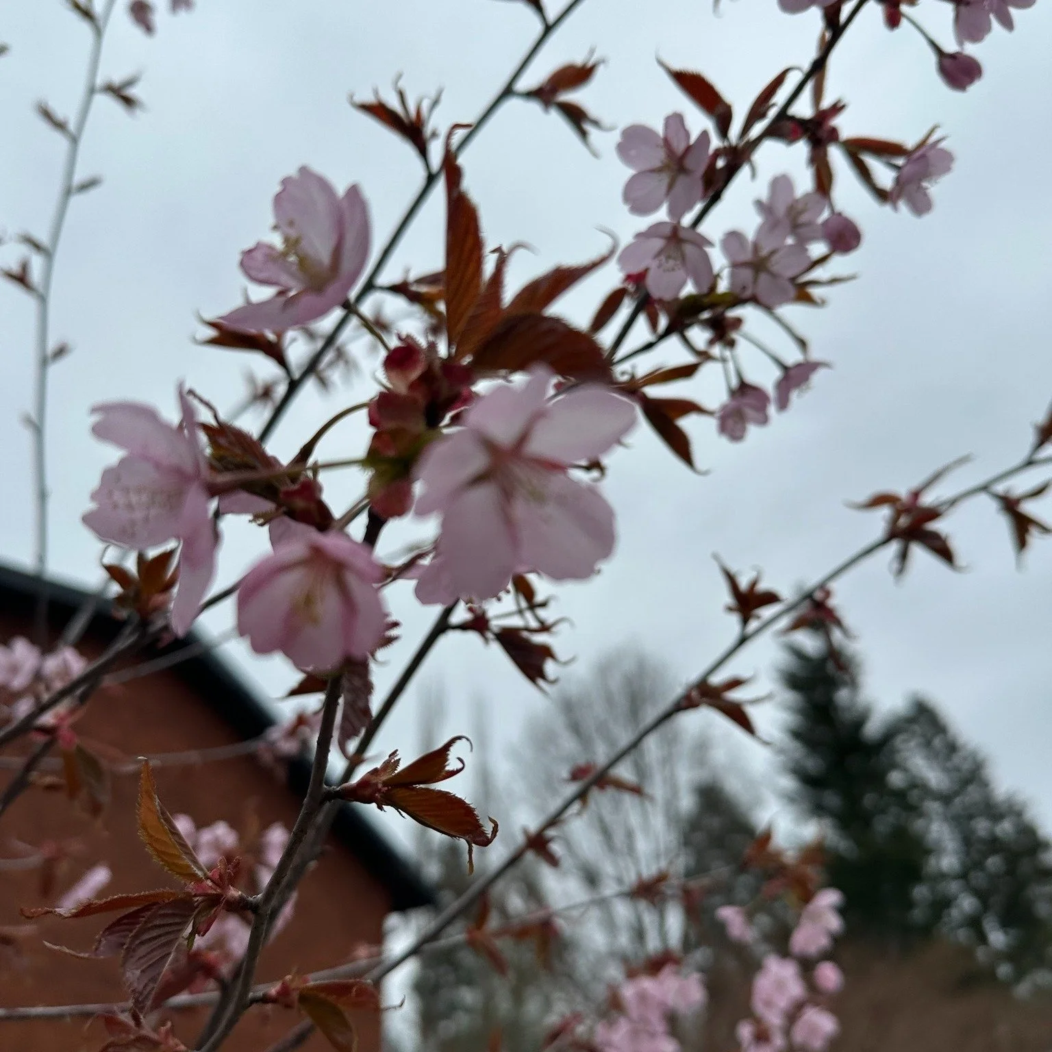 📬 Uusin j&auml;senkirje on l&auml;htenyt!

S&auml;hk&ouml;postissasi odottaa kunnon infopaketti: ajankohtaisia uutisia, tapahtumia ja mahdollisuuksia ✨

👉 L&ouml;ytyik&ouml; kirje suoraan inboxista vai eksyik&ouml; roskapostiin?
👉 Mik&auml; juttu 