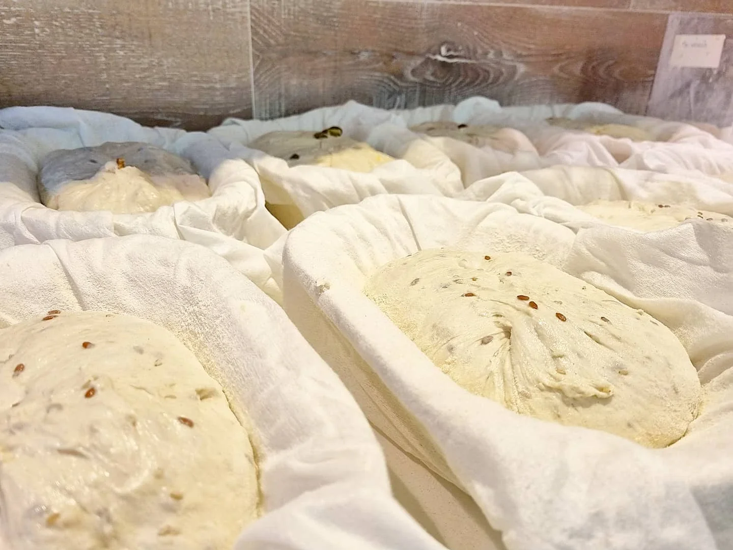 Sourdough bread dough.