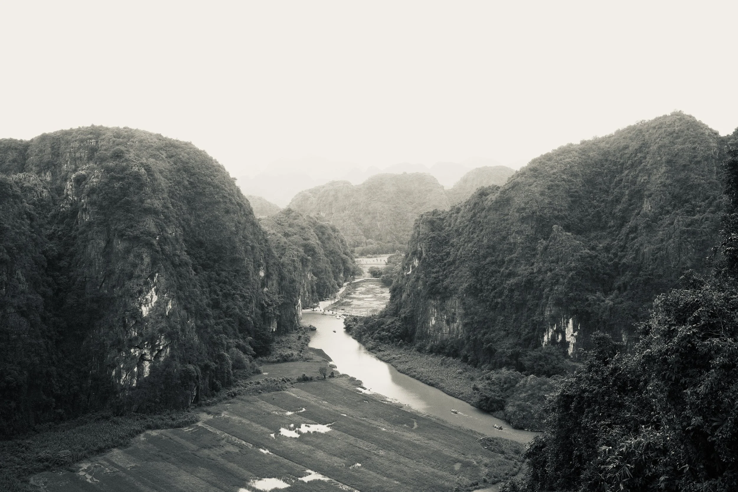 DSCF3554.jpg