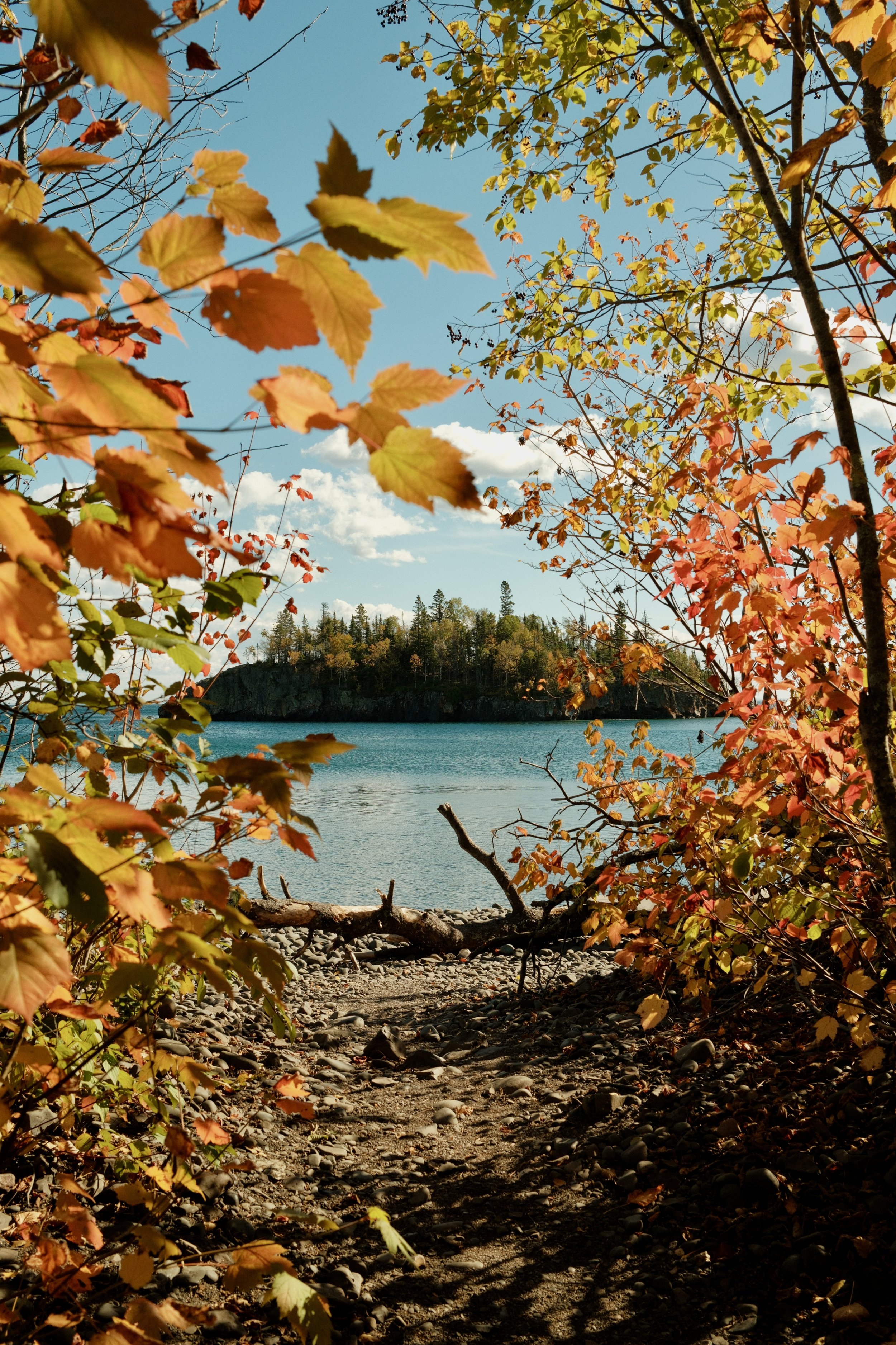 DSCF6039.jpg