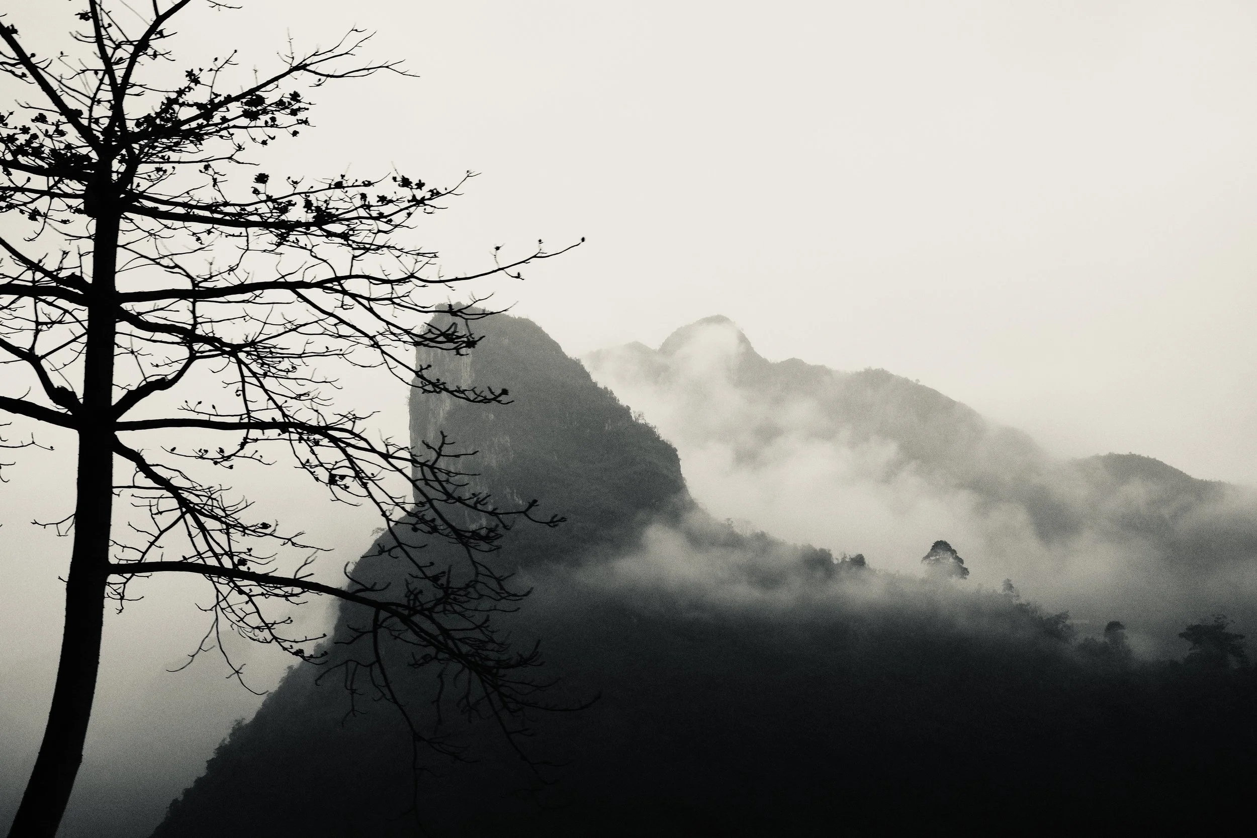 DSCF3339.jpg