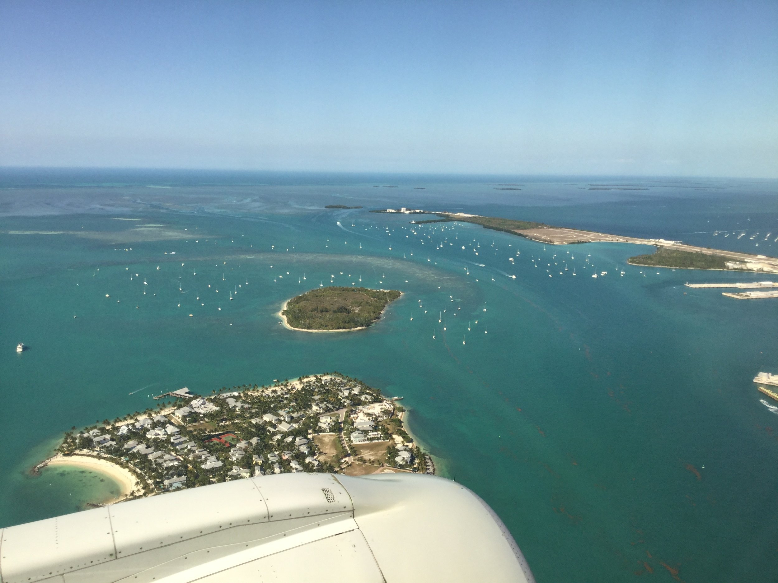 Tropical Island Adventures