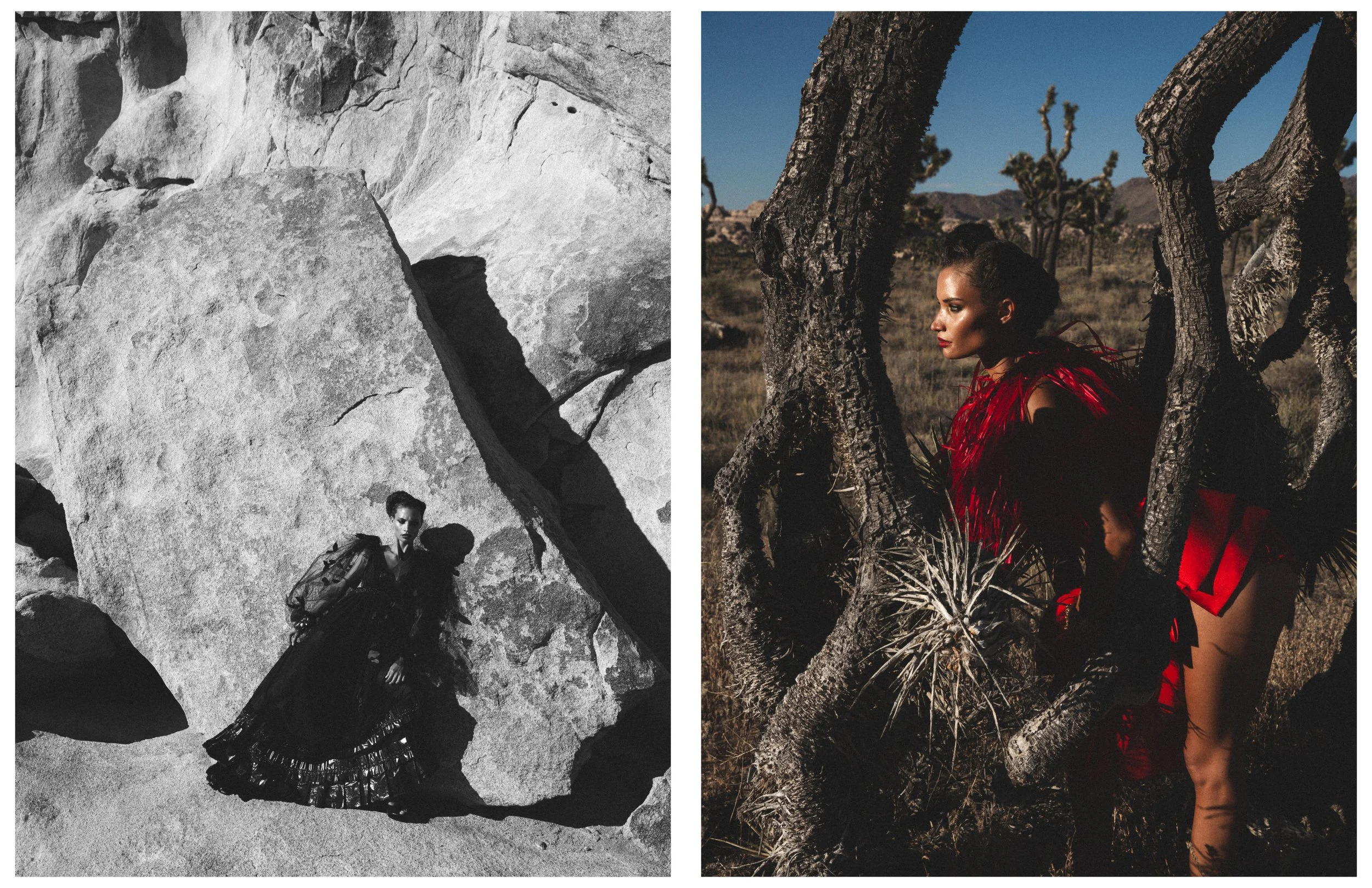 Shadai - Mojave31.jpg