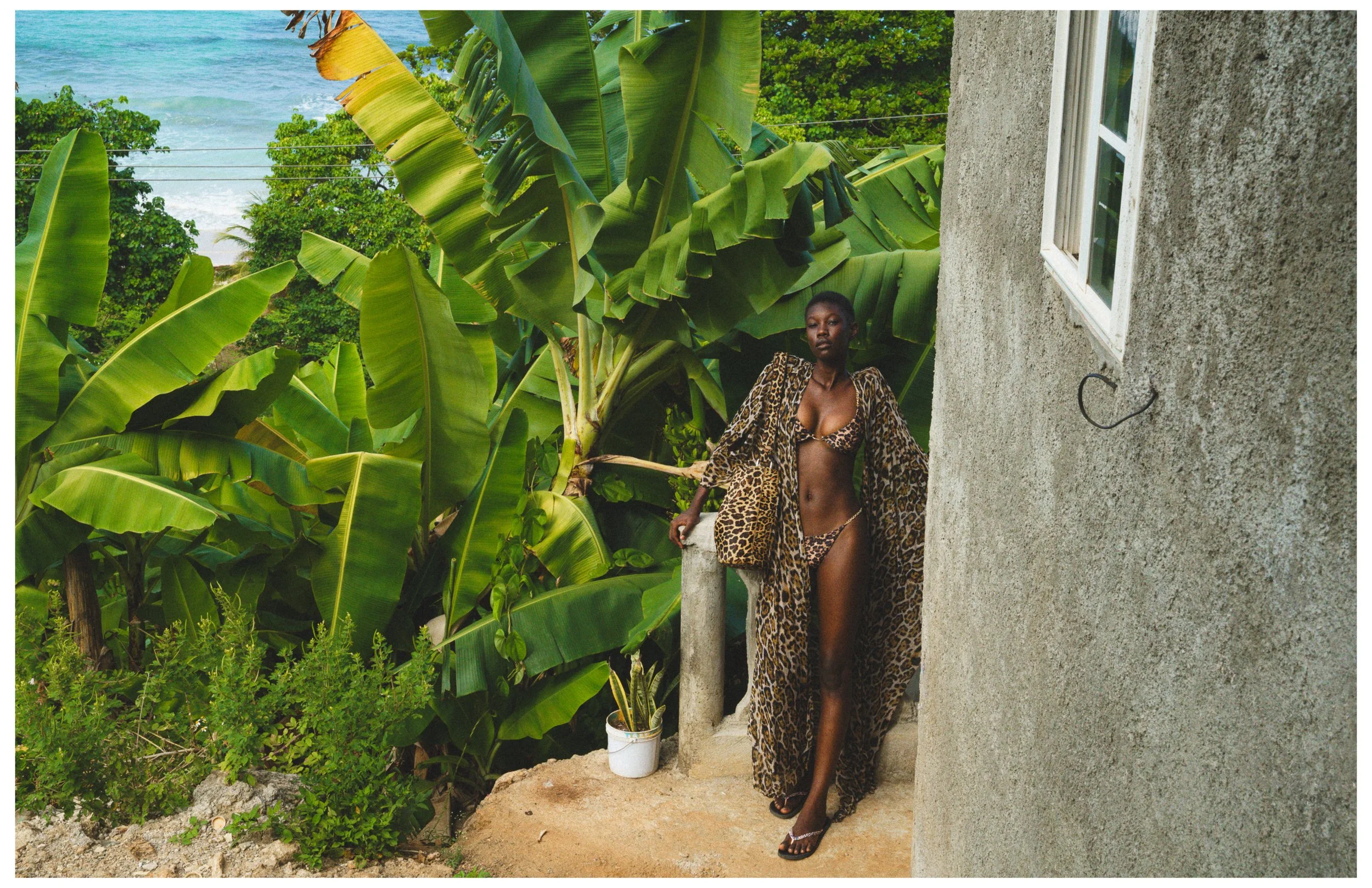 Shadai- Irie15.jpg