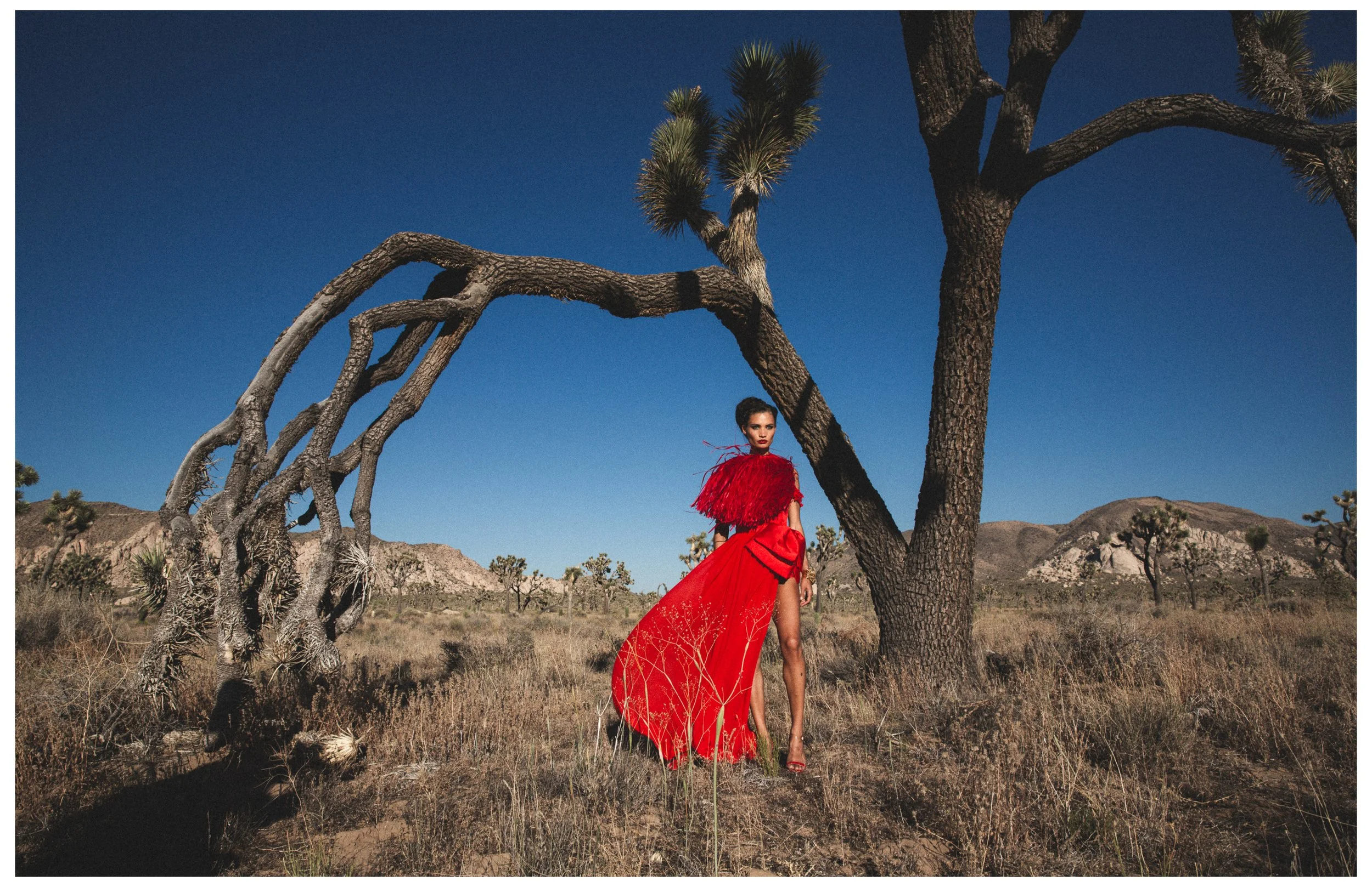 Shadai - Mojave36.jpg
