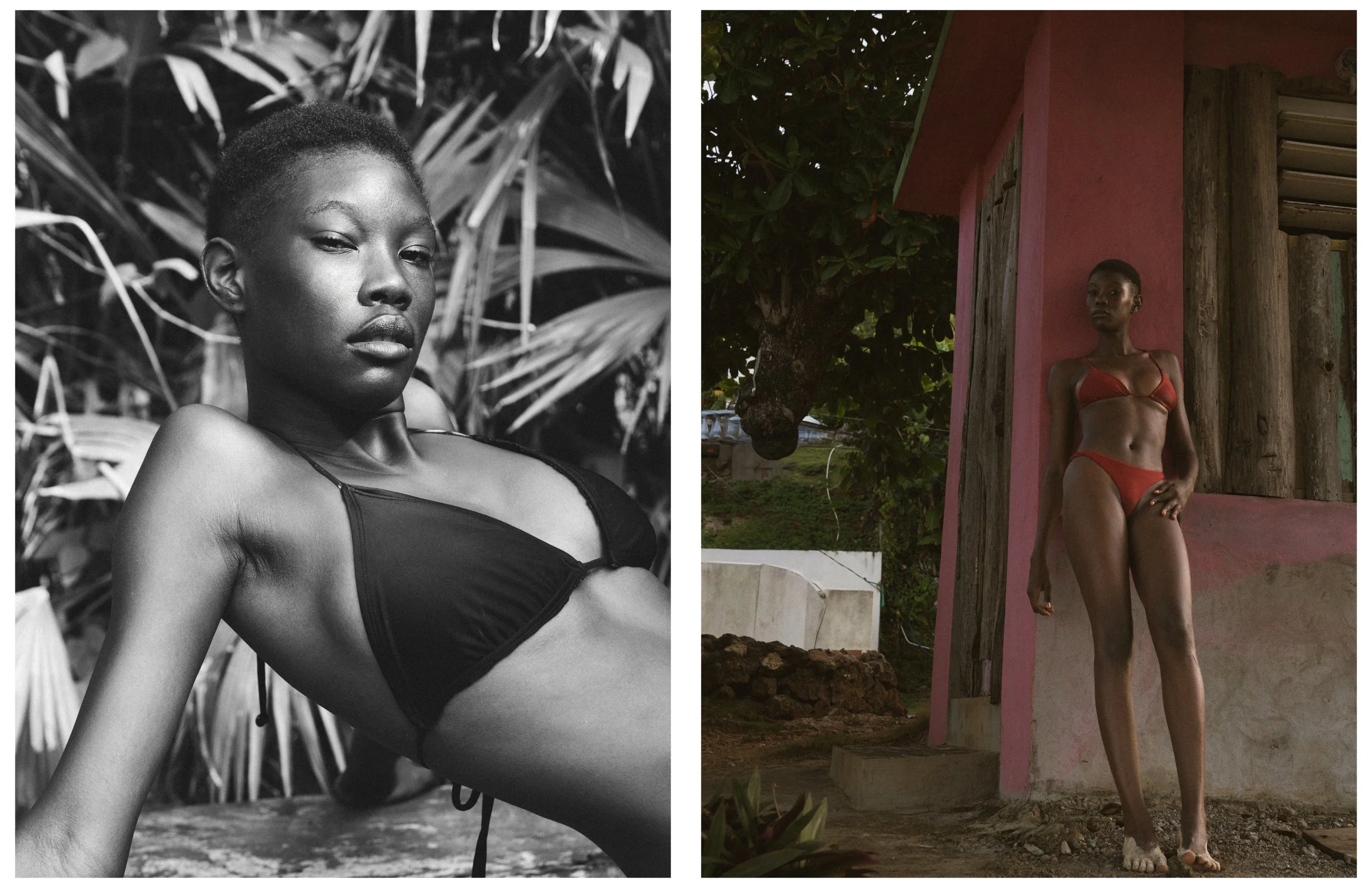 Shadai- Irie17.jpg