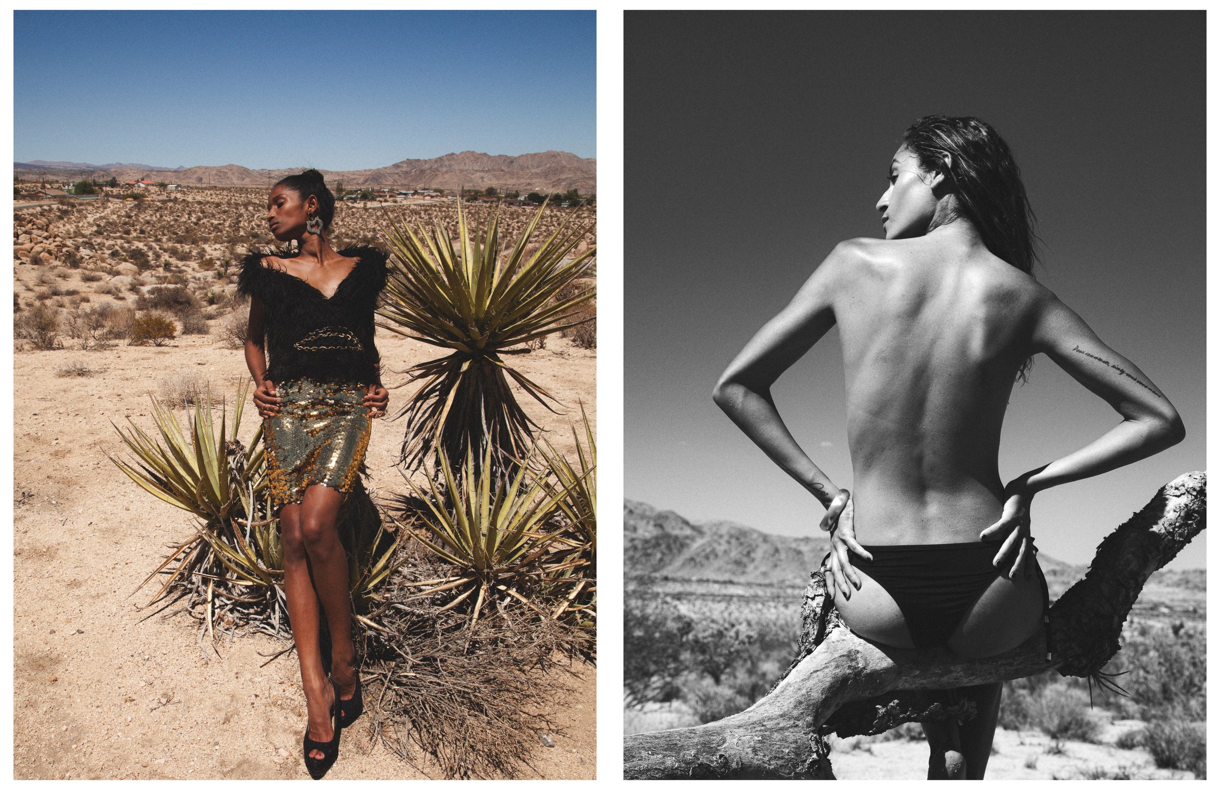 Shadai - Mojave21.jpg